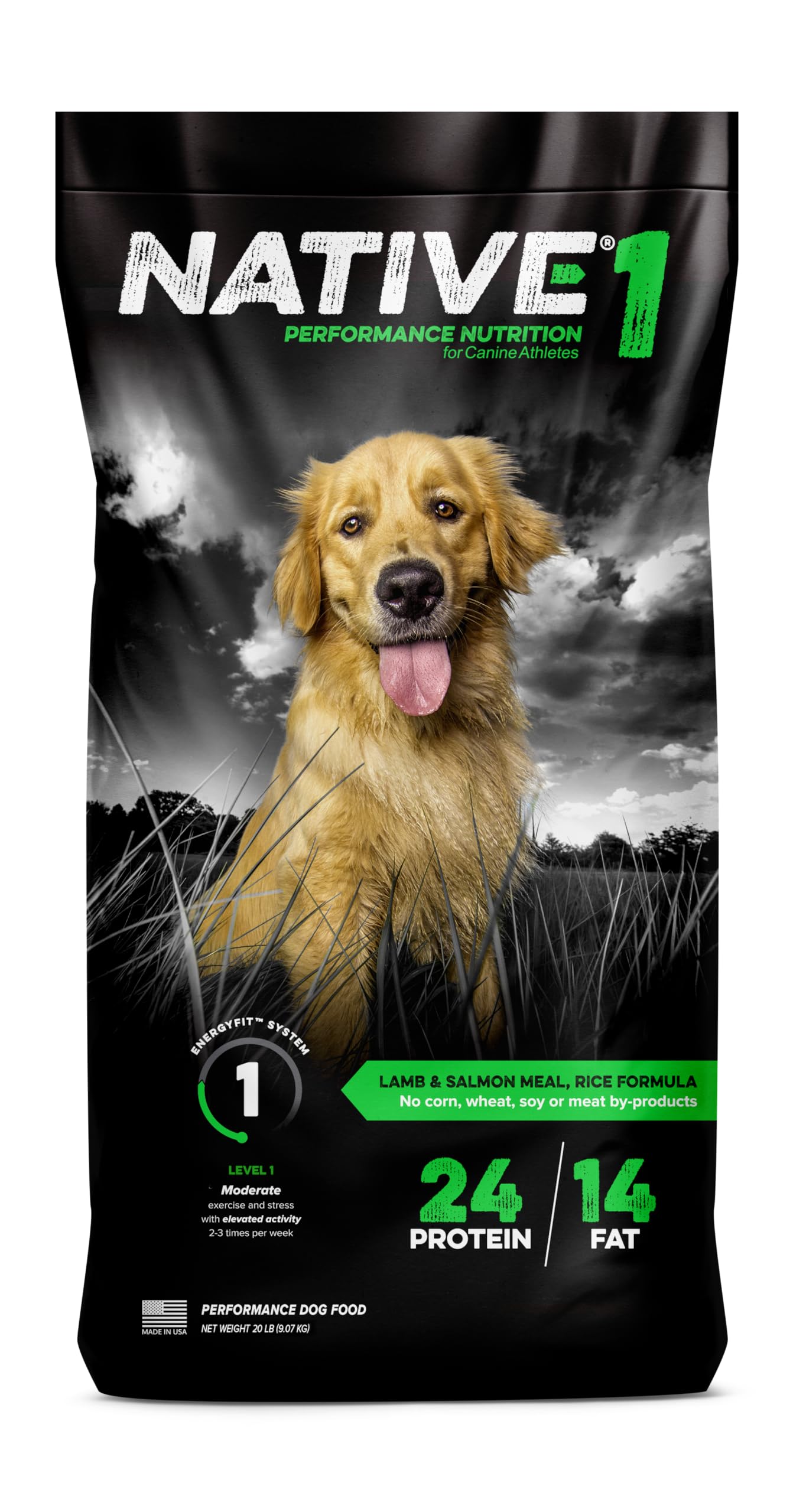 NATIVE Performance Dog Food | Lamb Meal and Rice Formula | No Filler or Bi-Products | Low to Normal Energy Level 1 | 40 Pound Ba