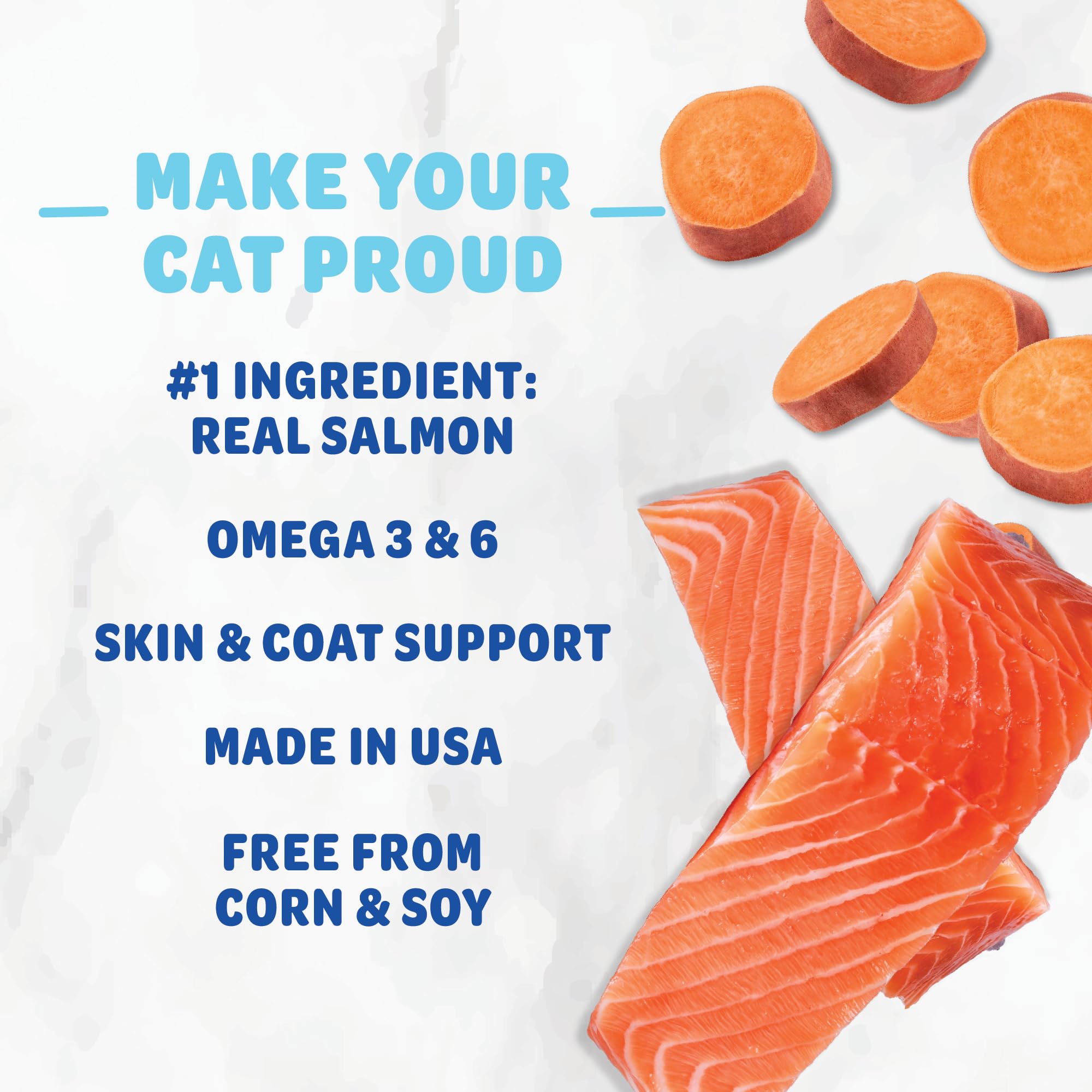Shameless Pets Crunchy Cat Treats - Kitty Treats for Cats with Skin & Coat Support, Natural Ingredients Kitten Treats with Real