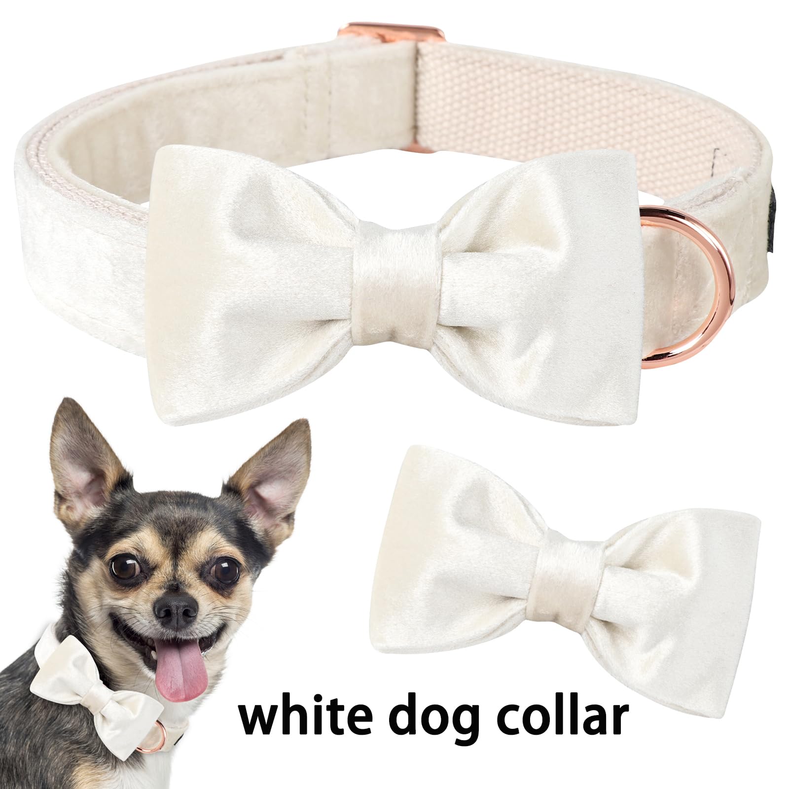 ARING PET Bowtie Dog Collar-Velvet Dog Collars with Detachable Bowtie, White Wedding Soft Dog Collar,Small.