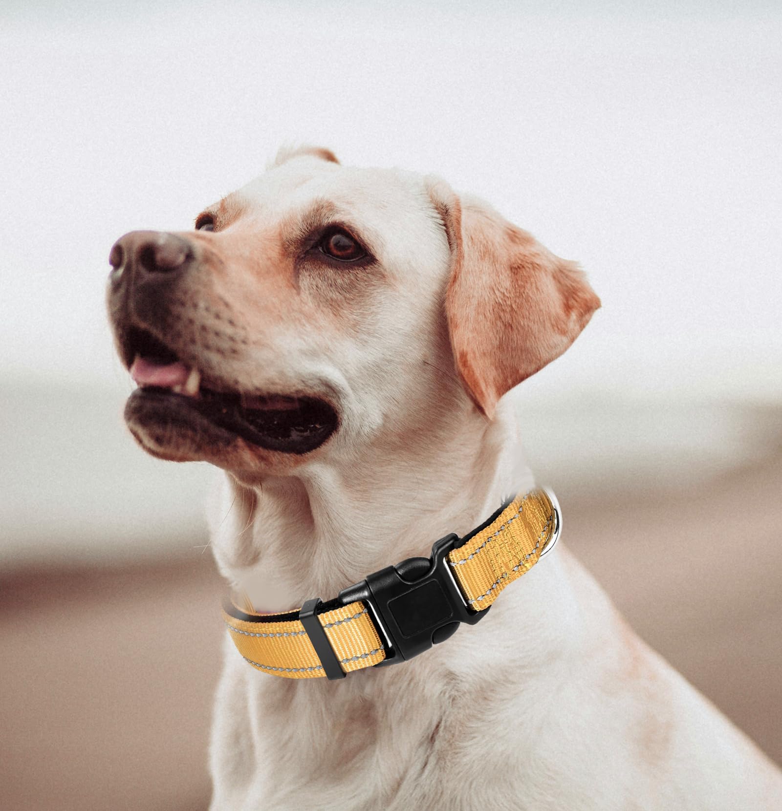Xl Dog Collar, Reflective Pet Collar With Buckle Adjustable Safety Nylon Collars For Small Medium Large Dogs, Yellow