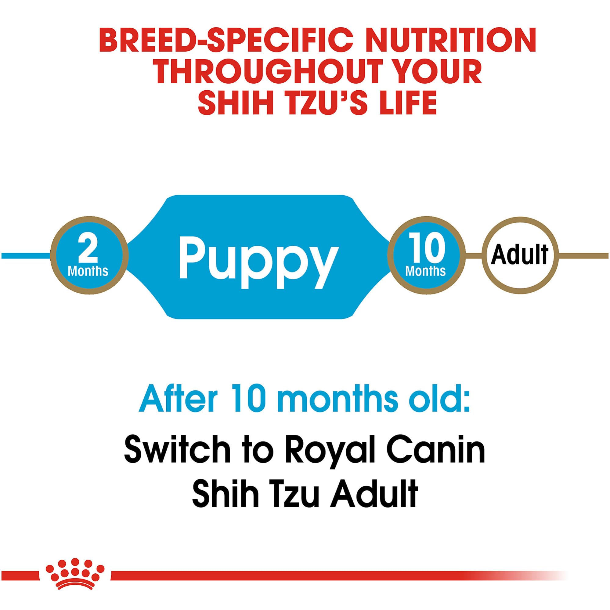 Royal Canin Breed Health Nutrition Shih Tzu Puppy Dry Dog Food, 2.5 lb