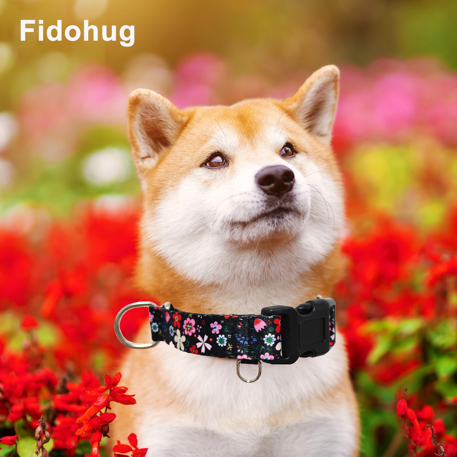 Fidohug Martingale Dog Collar With Buckle Adjustable Nylon Limited Slip Training Floral Dog Collars (Black Pink Red, Large)