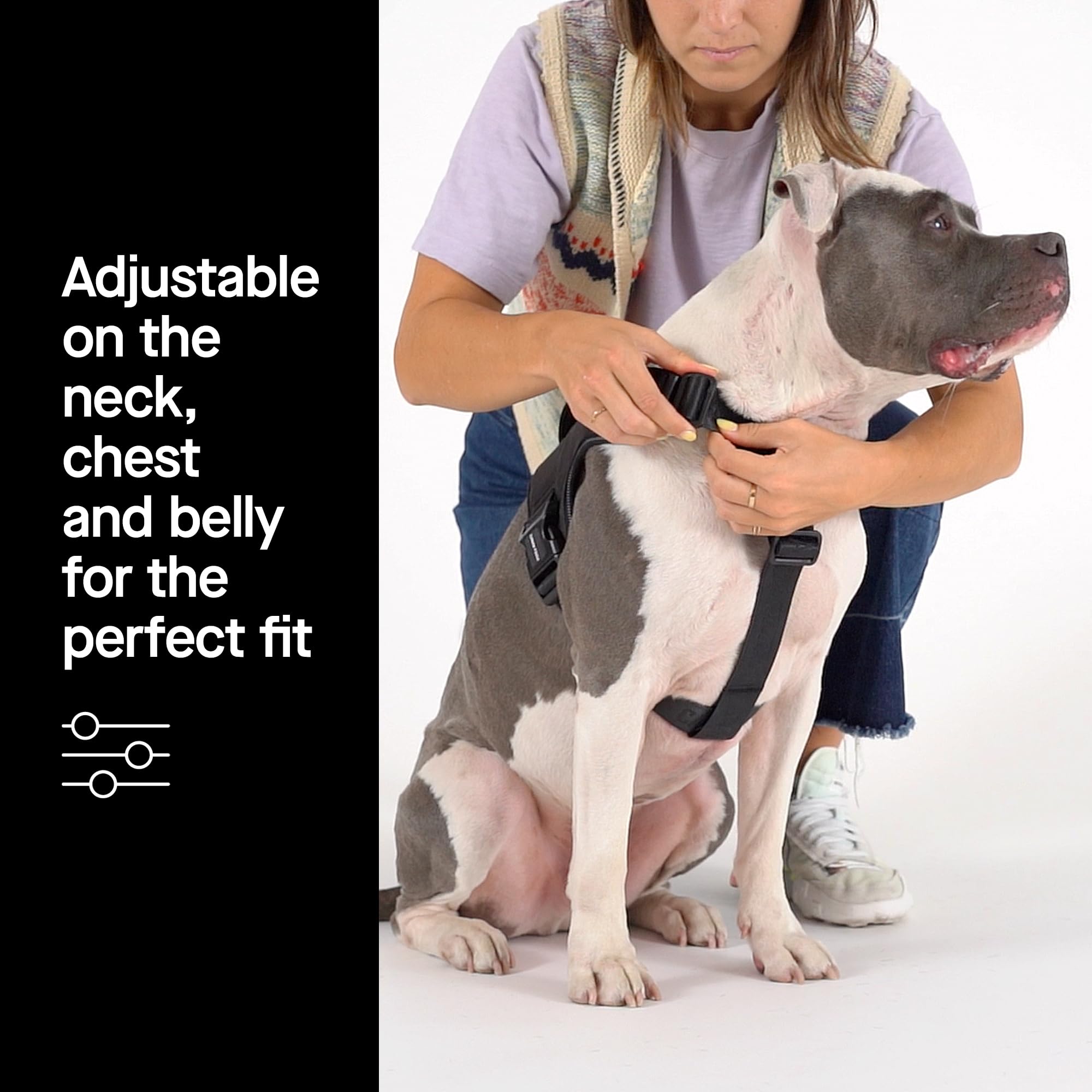 Canada Pooch Complete Control Dog Harness Black, Large Dubbulon Portatovaglioli In Metallo