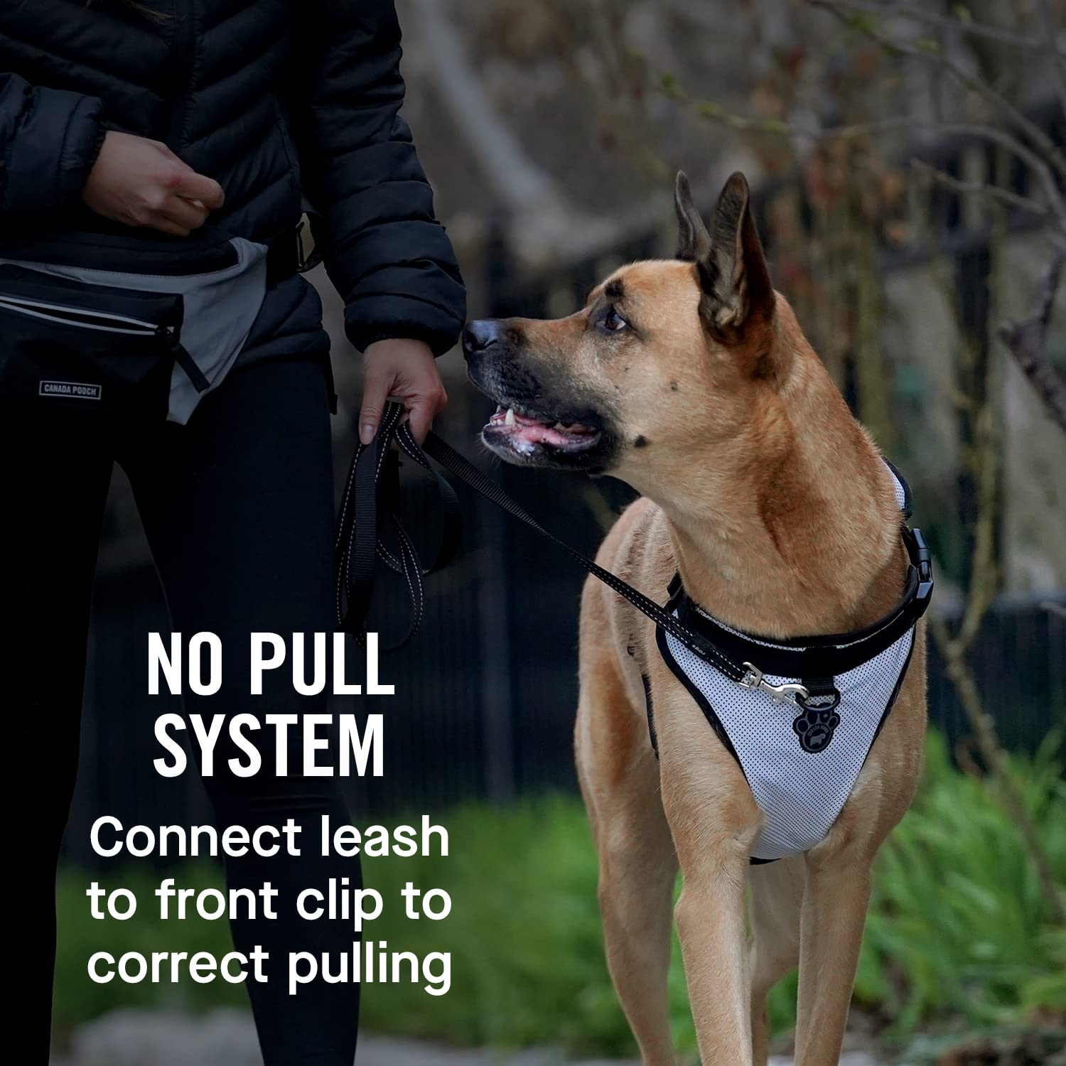 Canada Pooch Everything No Pull Dog Harness - Easy Walk Harness For Dogs With Breathable Mesh Exterior, Adjustable Dog Walking Harness Great For Dogs Reflective/Xl
