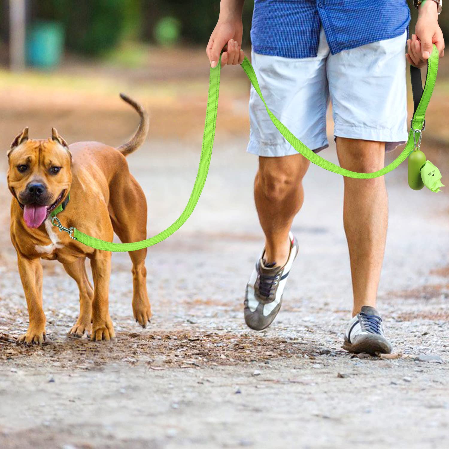 Joytale Double-Sided Reflective Dog Leash, 6 Ft/5 Ft/4 Ft, Padded Handle Nylon Dogs Leashes For Medium & Large Dogs Walking, Green, 6Ft