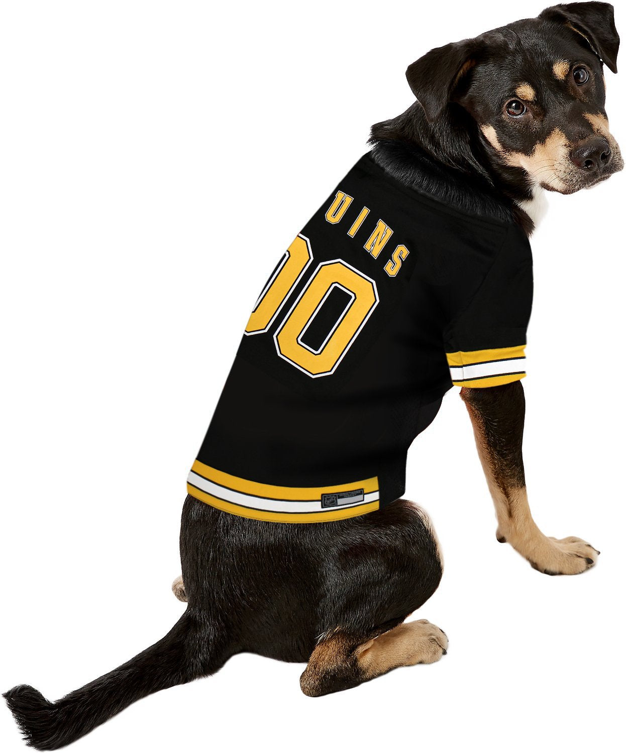 Pets First NHL Boston Bruins Jersey for Dogs & Cats, X-Small. - Let Your Pet Be A Real NHL Fan!