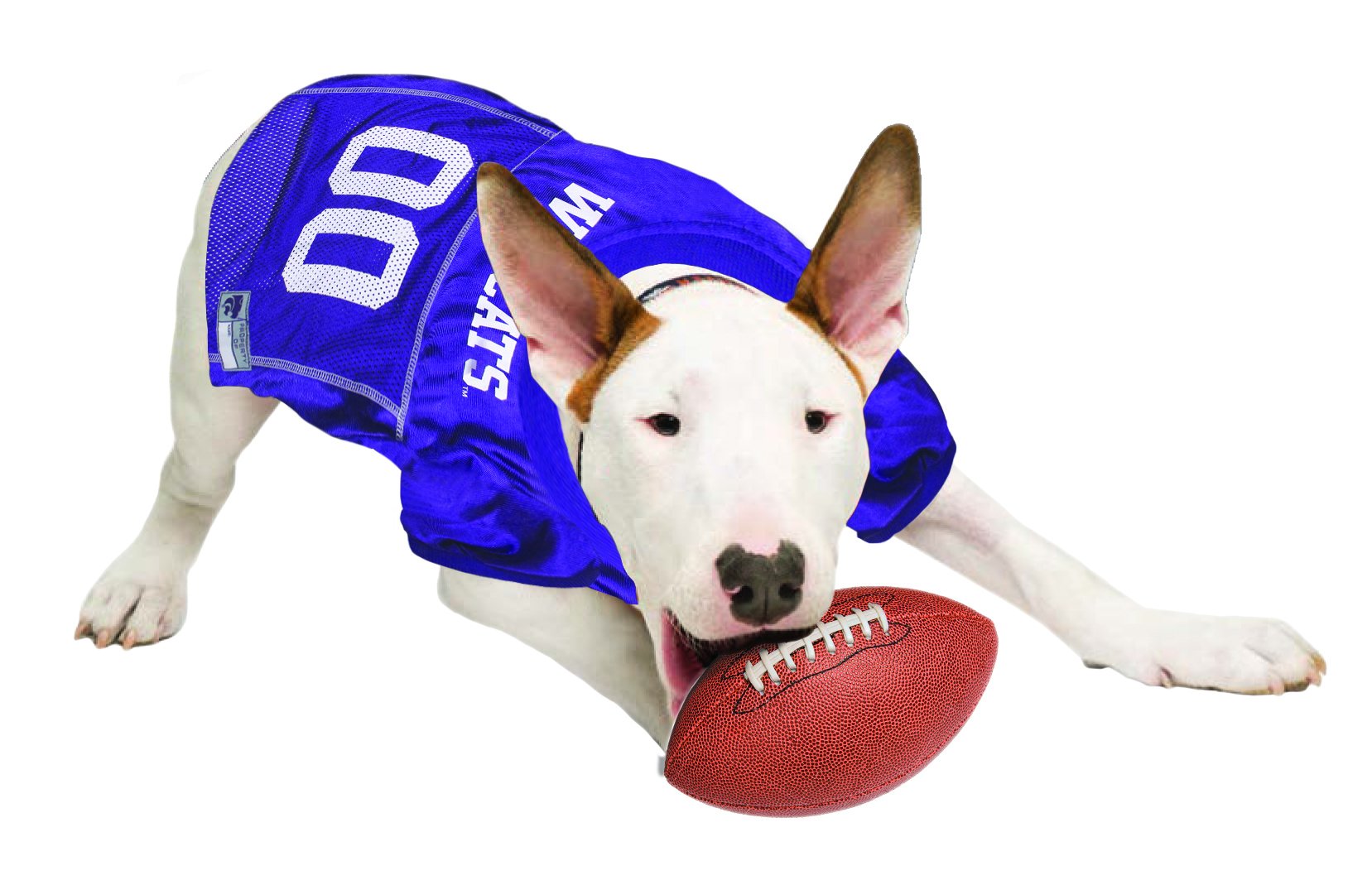 Pets First NCAA College Kansas State Wildcats Mesh Jersey for DOGS & CATS, Medium. Licensed Dog Jersey with your Favorite Footba