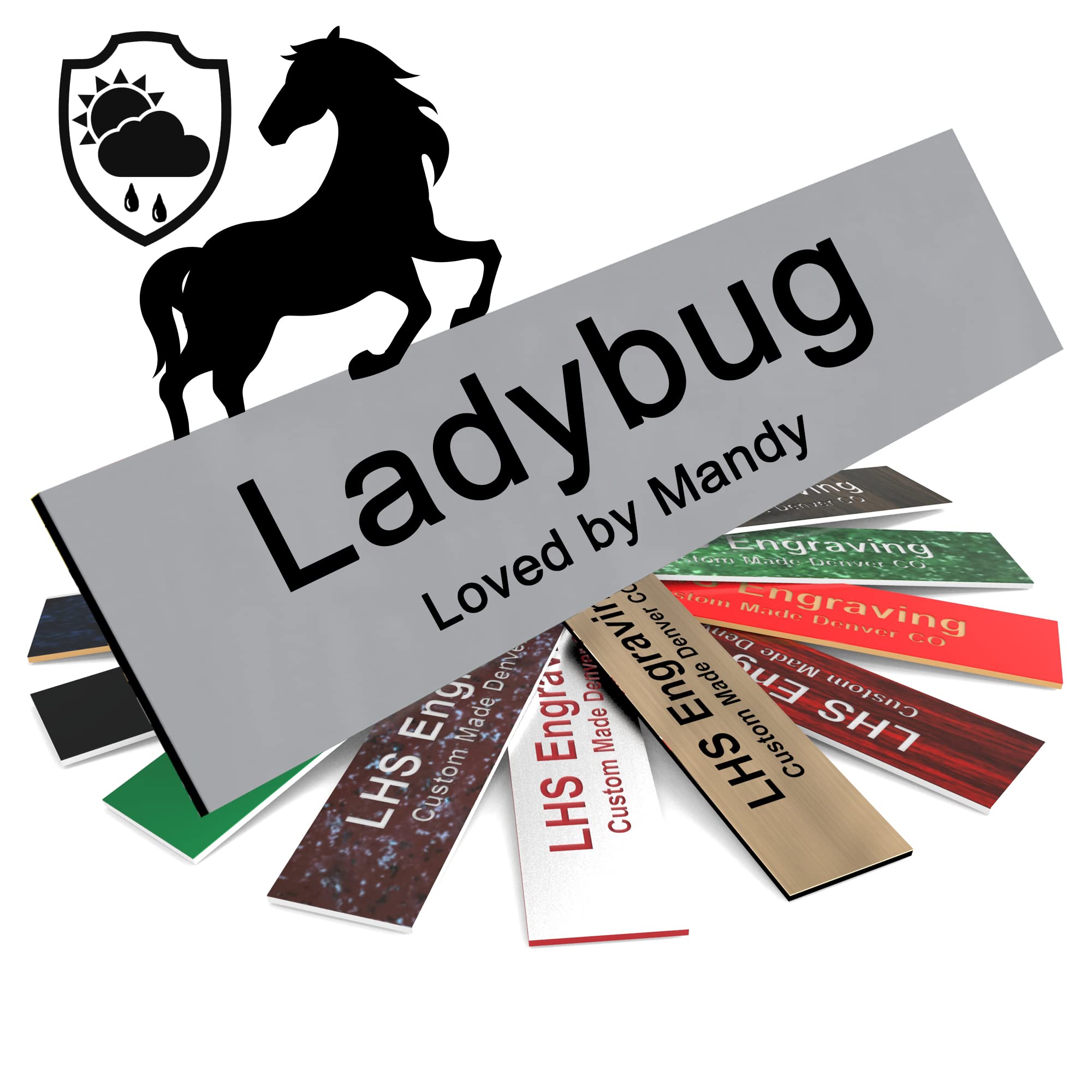 Lhs | Personalized Horse Stall Name Plates, 2X12 Horse Stall Signs With Adhesive, All Weather Uv Protected, Gray Plastic With Bl