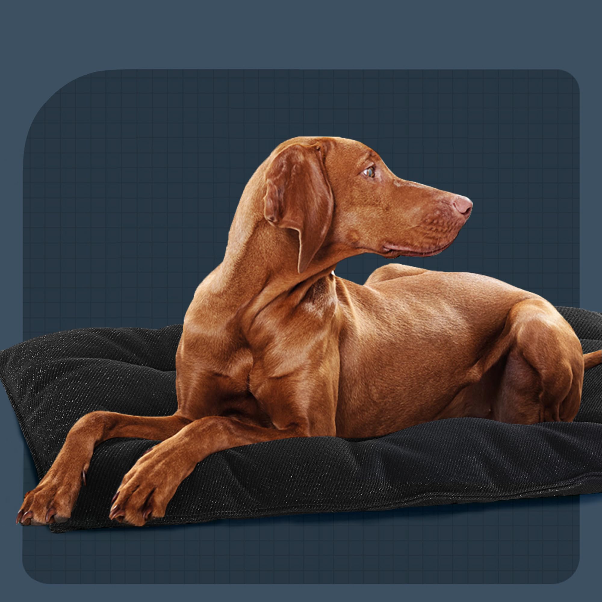 MABOZOO Indestructible Dog Bed, Chew Proof Polyester Mat, Large 35x22 inches, Black, Machine Washable for Aggressive Chewers