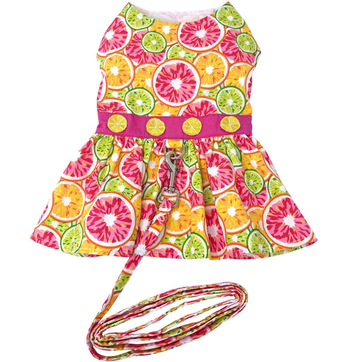 Citrus Slice Dog Dress With Matching Leash (Medium)