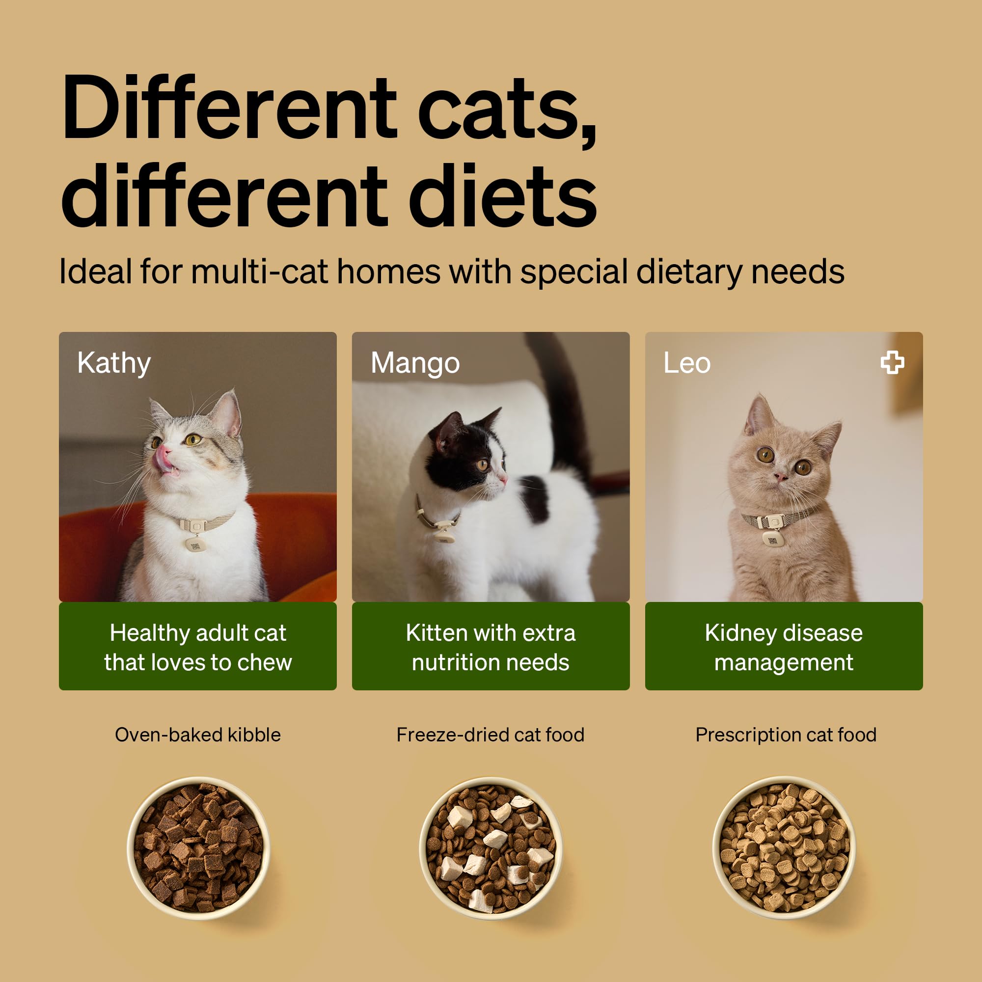 PETLIBRO RFID Automatic Cat Feeder, Collar Sensor for Personalized Meals, Cats Recognition, Diet Tracking and Anti-Stealing for