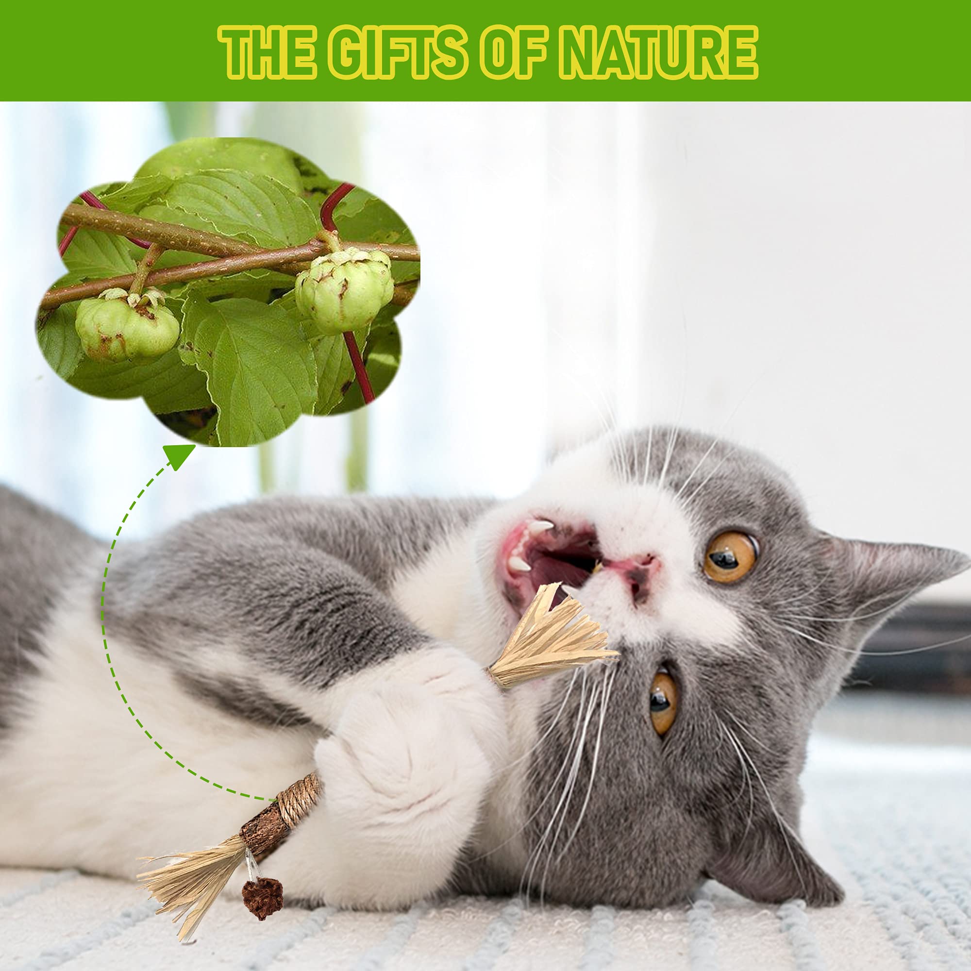 Bawan Catnip Toys, Silvervine For Cats: Cute Kitten Toys For Indoor Interactive Play, Teething Chew Toys For Aggressive Chewers,
