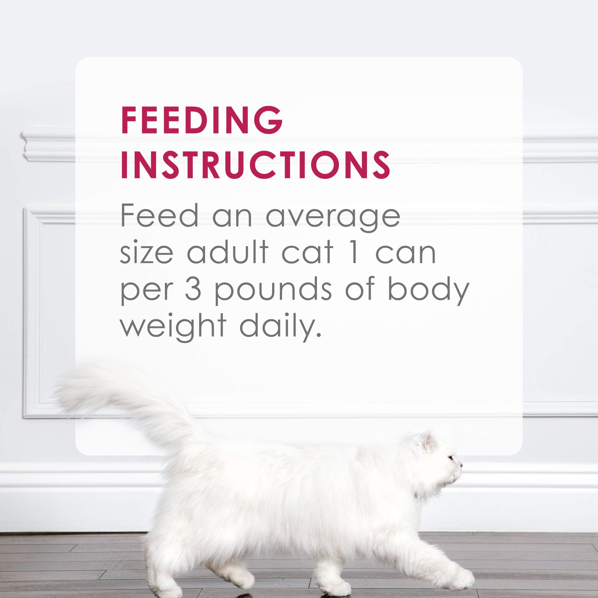Purina Fancy Feast Sliced Chicken Feast Wet Cat Food in Gravy - (Pack of 24) 3 oz. Cans