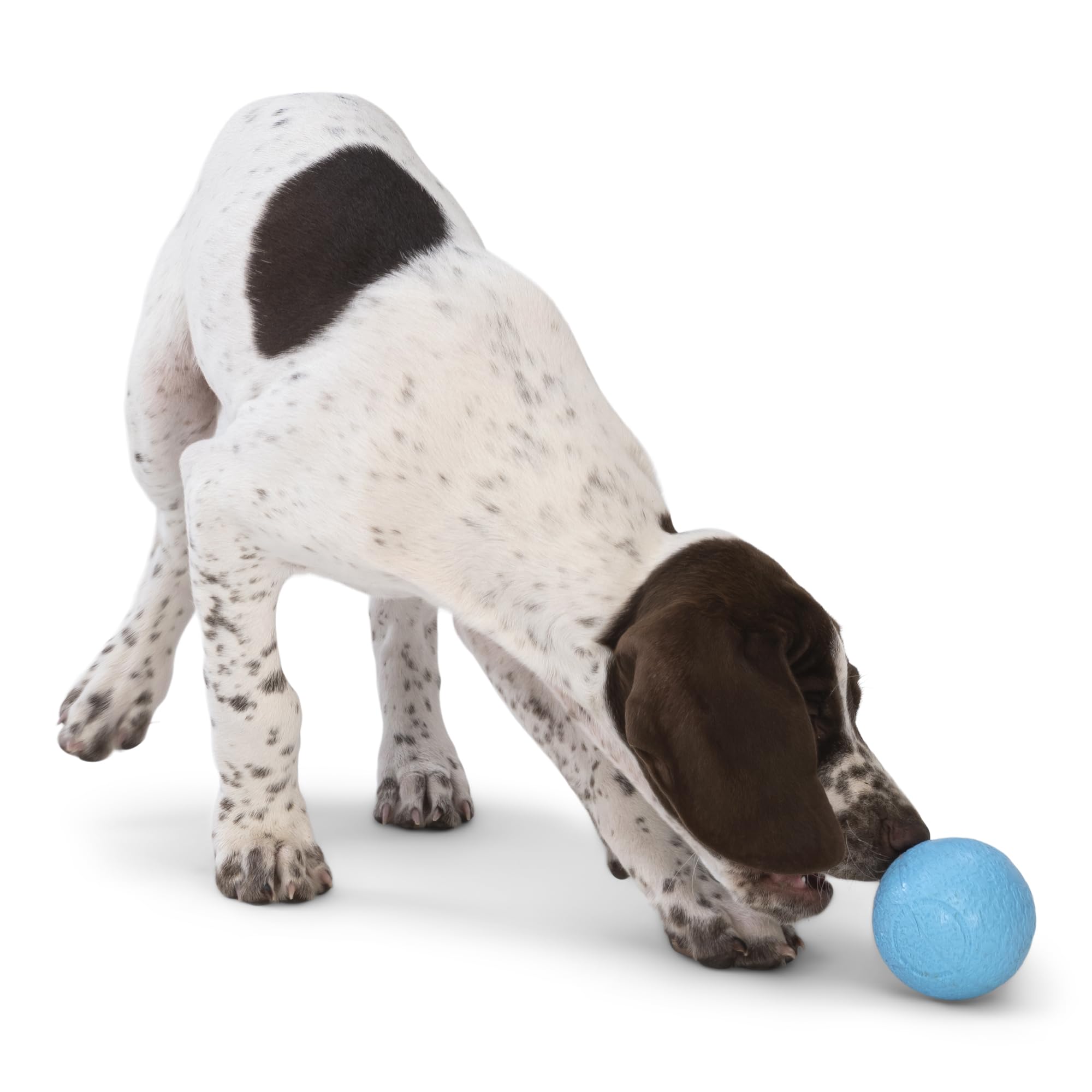 WEST PAW Boundr Ball Dog Fetch Toy – Small Hot Pink/Aqua Blue 2-Pack, Floatable Zogoflex for Fetch, Catch, Chewing, and Play