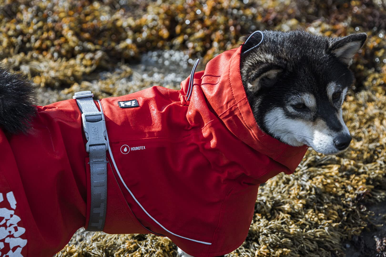 Hurtta Monsoon Coat Eco, Dog Raincoat, Rosehip, 32 In