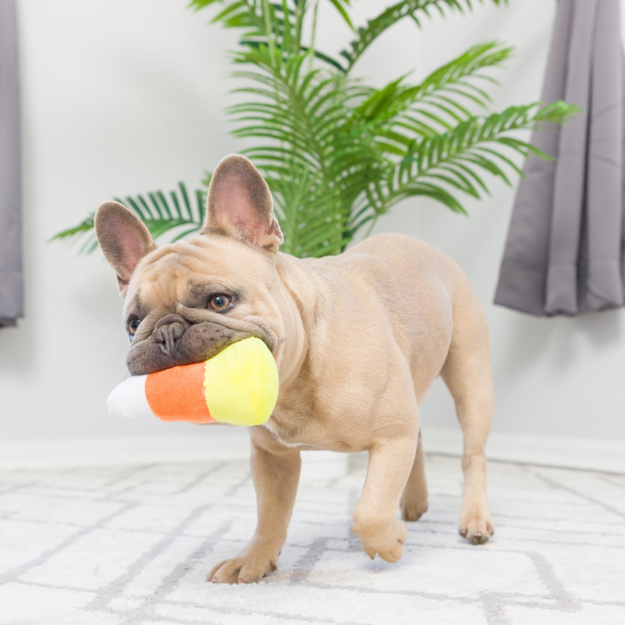 Huxley & Kent Tiny Tuff | Witch'S Harvest | Halloween Extra Tough Dog Toy For Small Dogs | 2-Pack Funny Dog Toy | Features Squea
