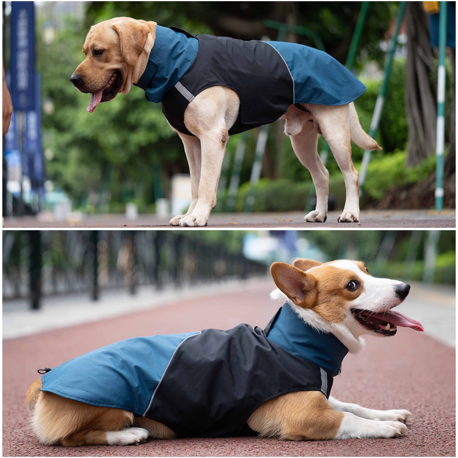 Dog Warm Coats - Windproof Dog Winter Outdoor Jackets Cold Weather Coats For Dog Waterproof Dog Raincoats With Hole For Dog Leash,Black Blue Xxl