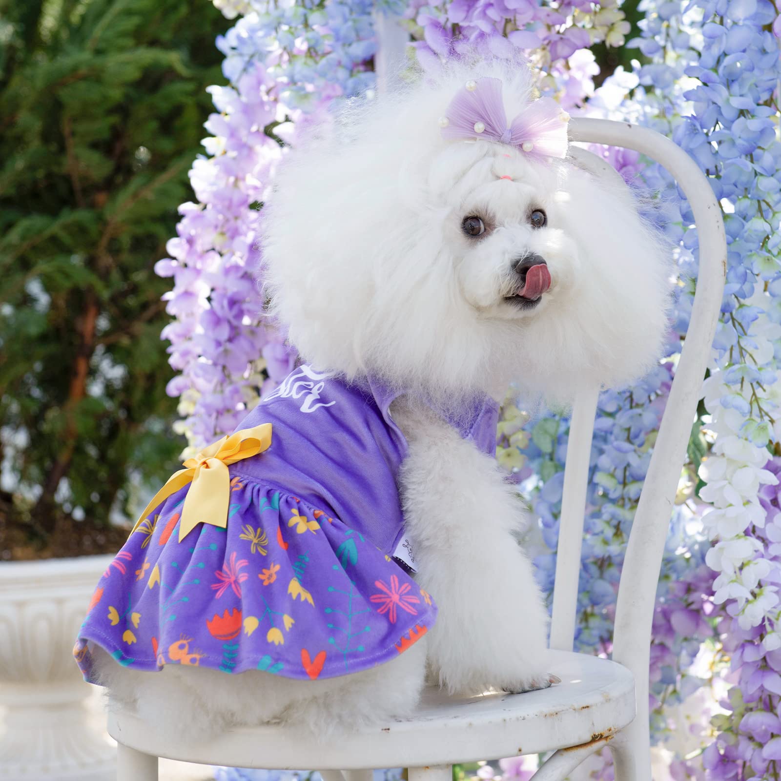Cutebone Easter Dog Dress Velvet For Small Dogs Girl Flower Skirt Puppy Dresses Purple Dog Clothes Cva16M-D