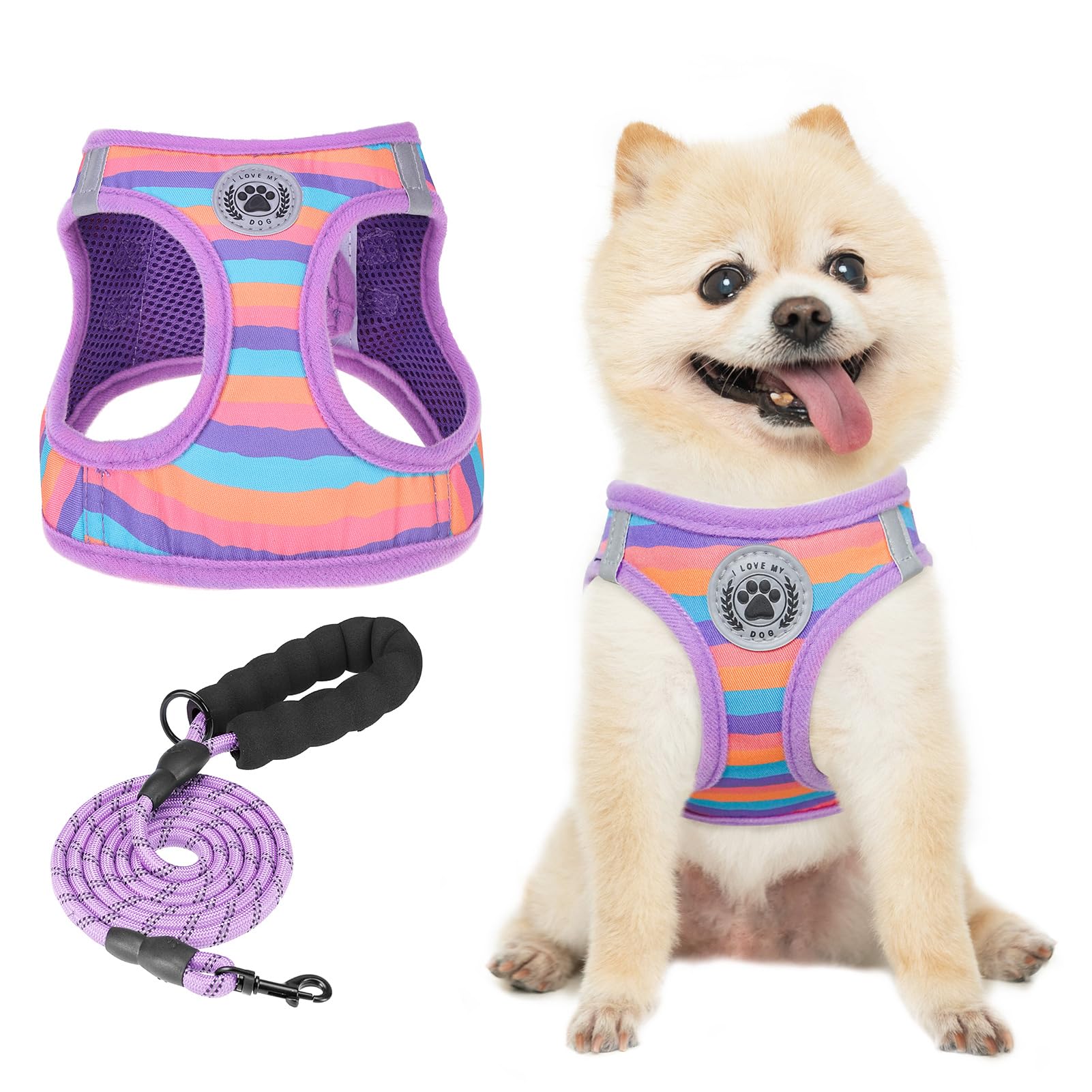 Beautyzoo Dog Harness And Leash Set For Small Dogs,No Pull Step-In Harness For Puppy Xs S Sized Dogs And Cats,Air Mesh Adjustabl