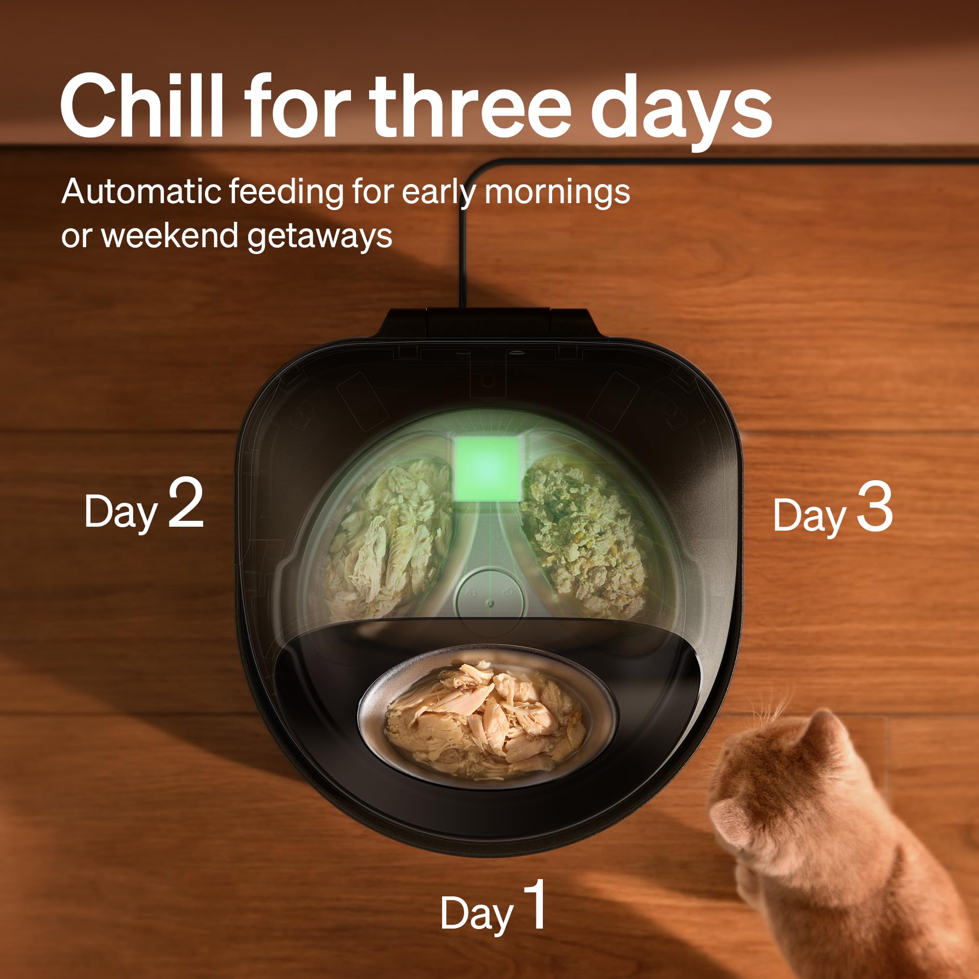 PETLIBRO Automatic Cat Feeder Wet Food with Stainless Steel Bowl 2 Packs, Refrigerated Auto Cat Feeder with Semiconductor Coolin