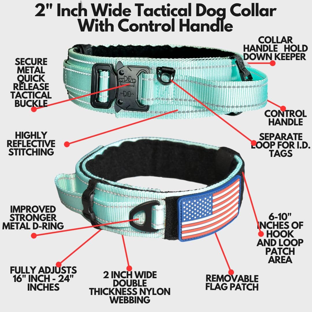 DEZIZEUSK9 Heavy Duty Military Dog Collar 2" Wide Adjustable Nylon MINTGREEN with Control Handle & Metal Buckle