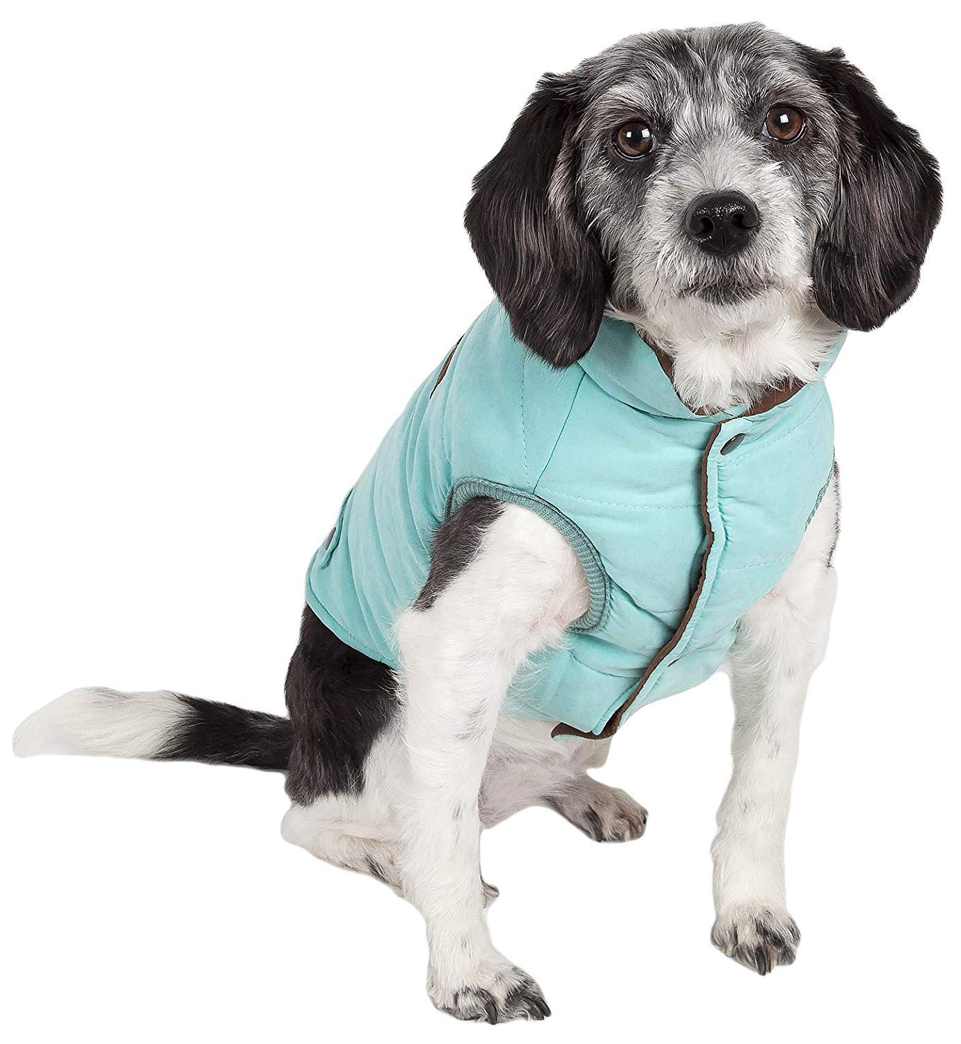 TOUCHDOG 'Waggin Swag' Fashion Designer Reversible 3M Insulated Pet Dog Coat Jacket, Large, Blue / Brown
