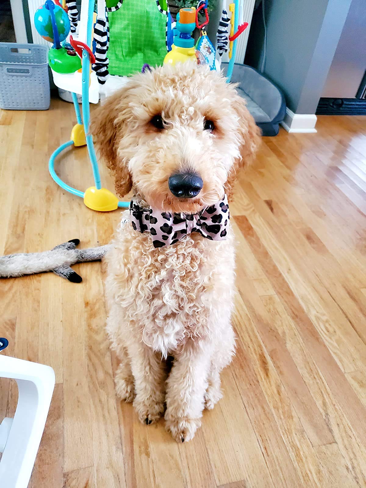 Dogwong Cotton Dog Collar With Bowtei, Leopard Bowtie Dog Collars, Adjustable Heavy Duty Girl Dog Collar With Bow For Large Dogs