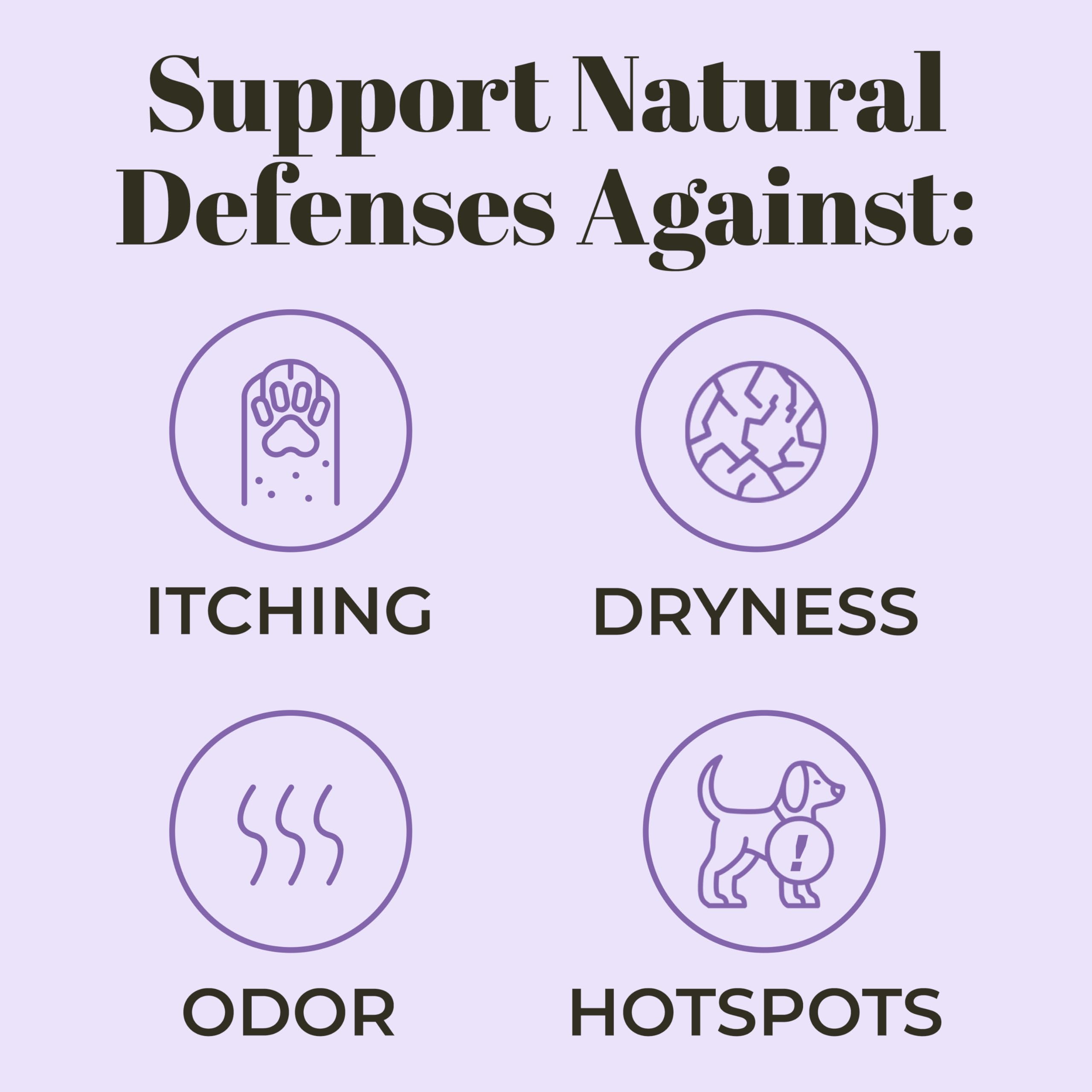 Skout's Honor Probiotic Pet Shampoo & Conditioner with Avocado Oil & Omega-3s, 97% Natural, Paraben & Sulfate-Free, Cruelty-Free