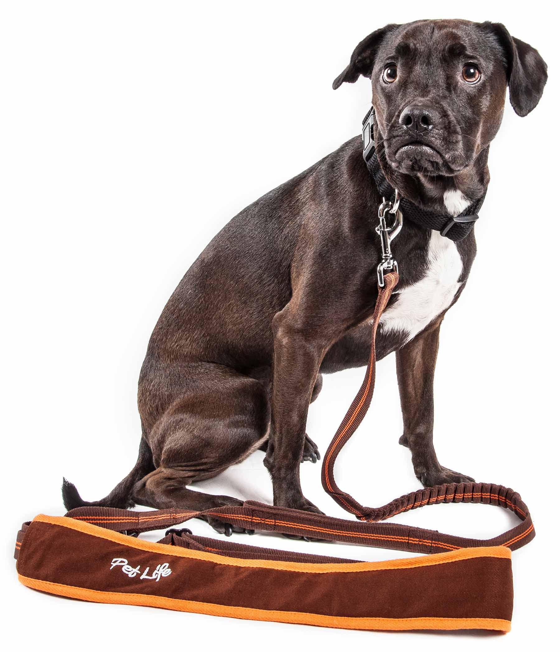 Pet Life Free-Fetcher Hands Free Over-The-Shoulder Shock Absorbent Dog Leash, Sm, Brown