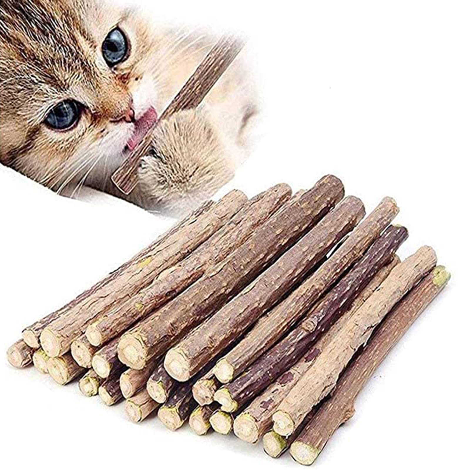 10 Pcs Catnip Sticks Organic Cat Chew Toys Natural Plant Matatabi Silvervine Chew Sticks Cat Teeth Cleaning Chew Toy Cat Kitten Kitty 1