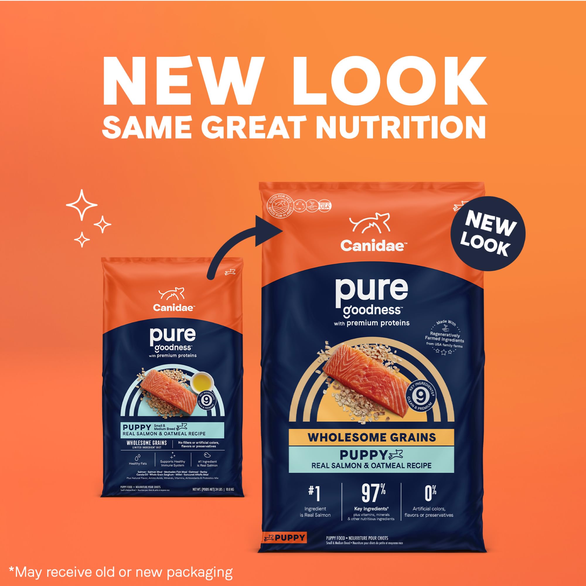 CANIDAE Pure Limited Ingredient Puppy Dry Dog Food, Real Salmon & Oatmeal, 22 lbs, Wholesome Grains