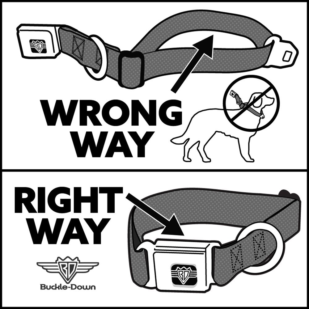 Dog Collar Seatbelt Buckle Tigger Stripes Orange Black 9 To 15 Inches 1.0 Inch Wide