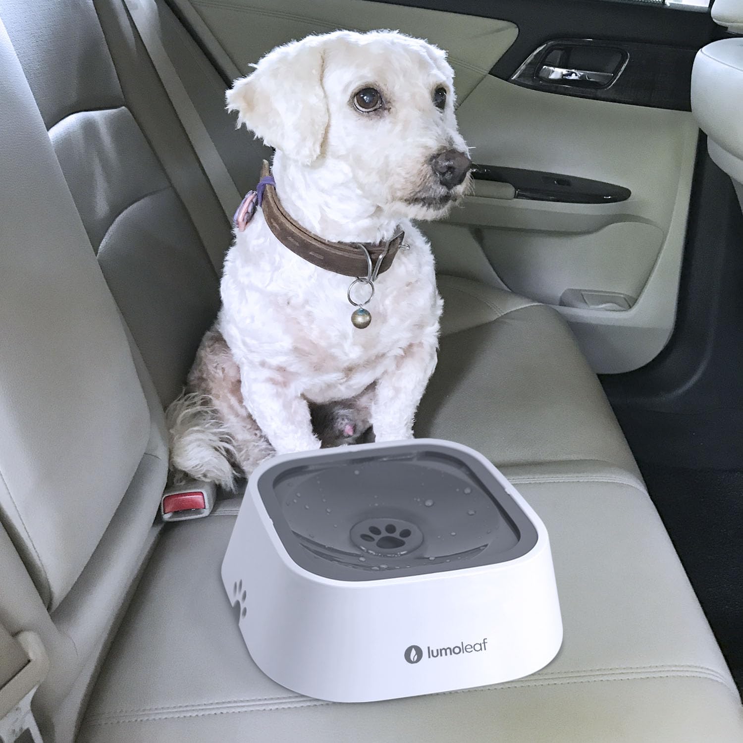 Lumoleaf No Spill Water Bowl For Dogs, Slow Feeder For Messy Drinkers, Drip-Free, Splash-Proof Design (Grey, 35Oz)