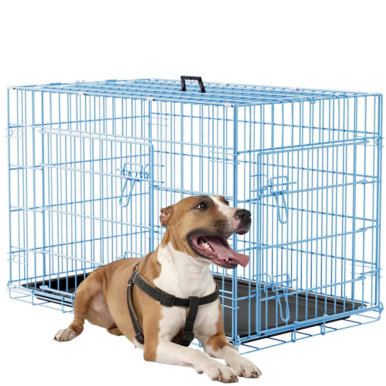 FDW Dog Crate 36inch Dog Cage Foldable Metal Kennel with Leakproof Tray Foldable Design Indoor Outdoor Use for Medium Dogs,Blue