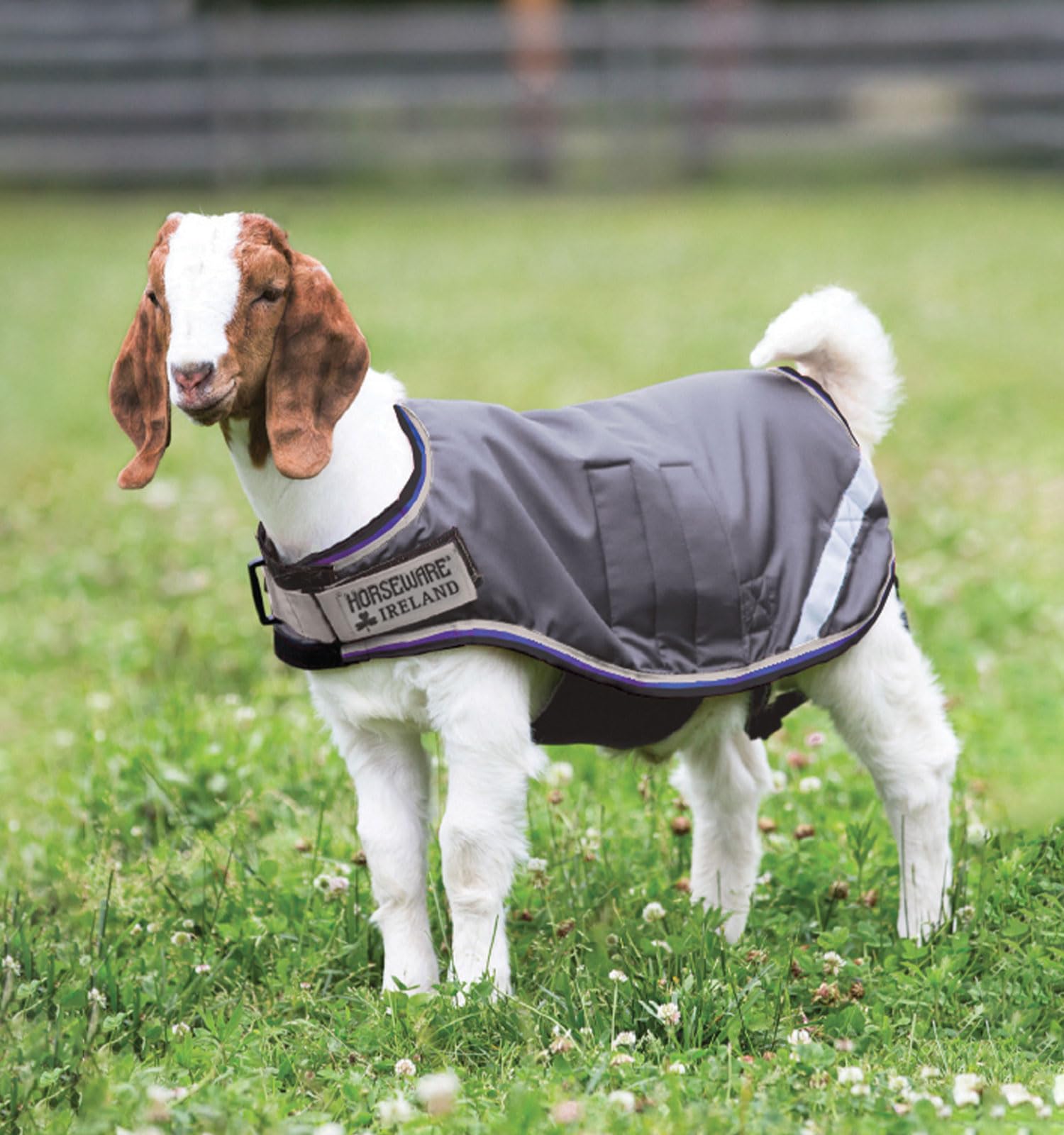 Horseware Goat Coat (100g Light)