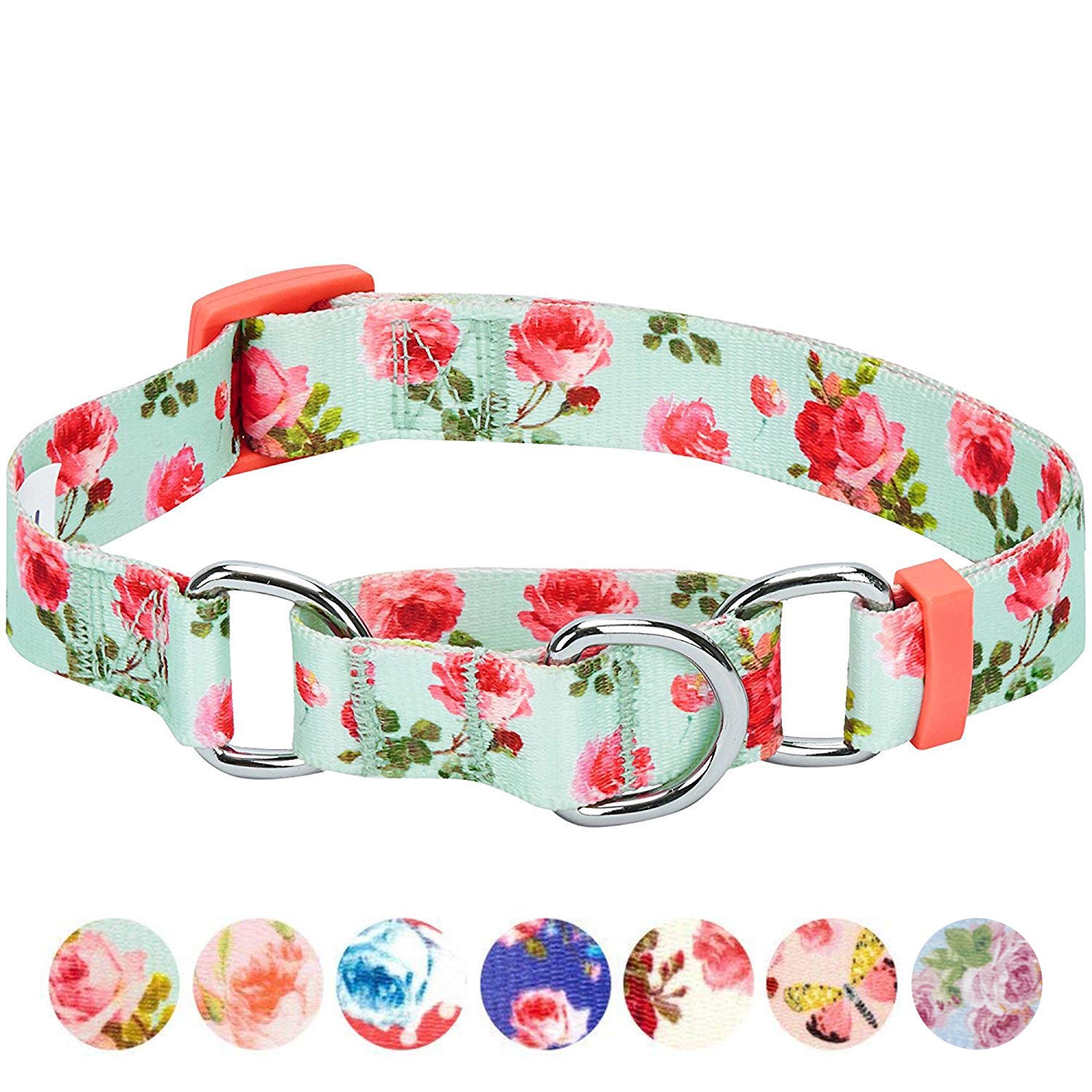 Blueberry Pet Spring Scent Inspired Rose Print Martingale Safety Training Dog Collar, Turquoise, Small, Heavy Duty Adjustable Co
