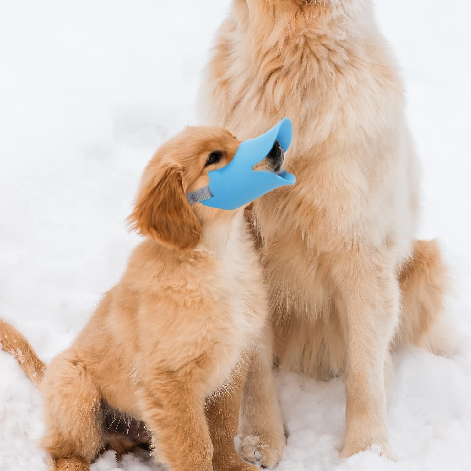 Nacoco Anti Bite Duck Mouth Shape Dog Mouth Covers Anti-Called Muzzle Masks Pet Mouth Set Bite-Proof (Blue, M)