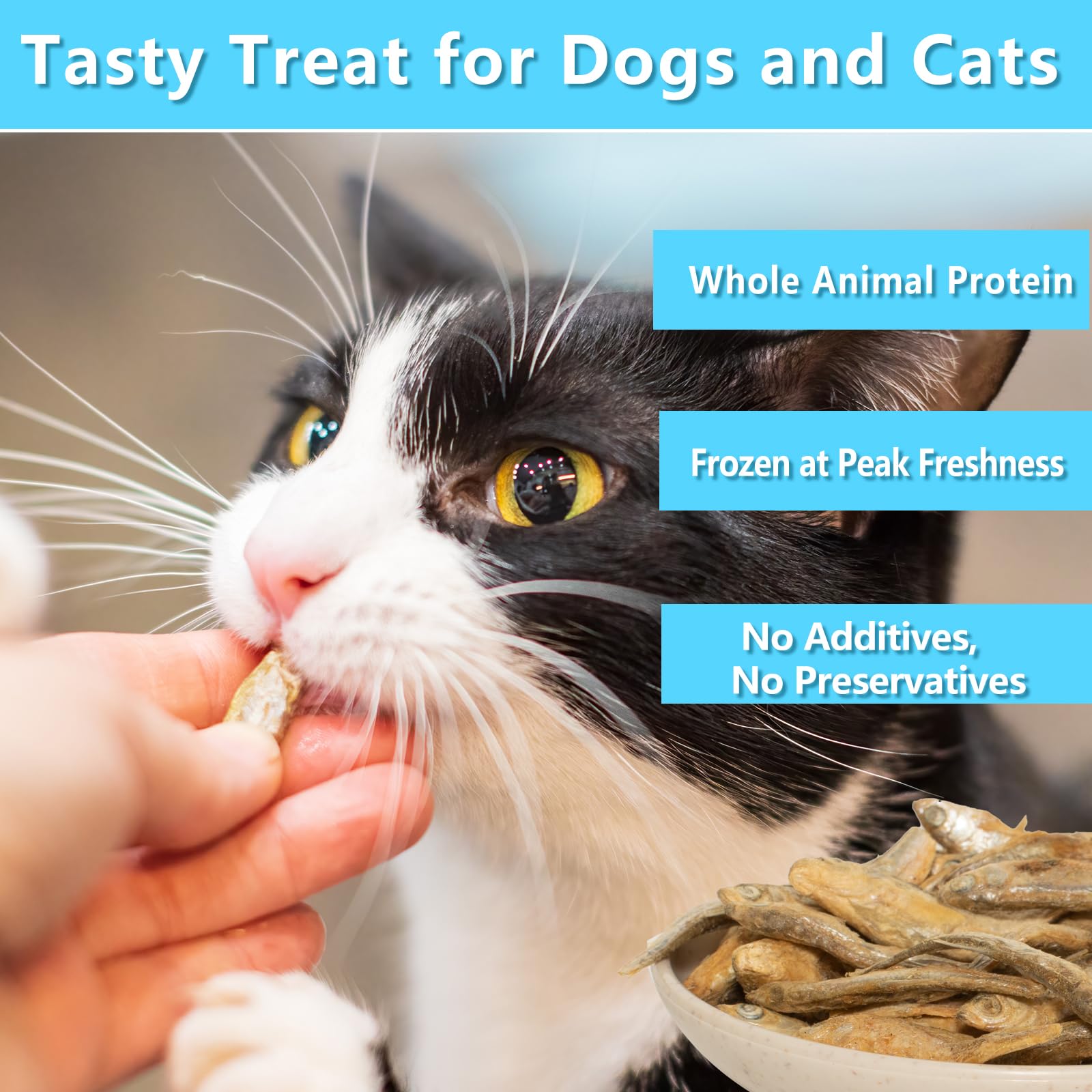 JADINGSFARM Minnows 2.8 oz Freeze Dried Minnows, 100% Natural Cat Treat, Dog Treat, Freeze Dried Minnows for Cats Freeze Dried M