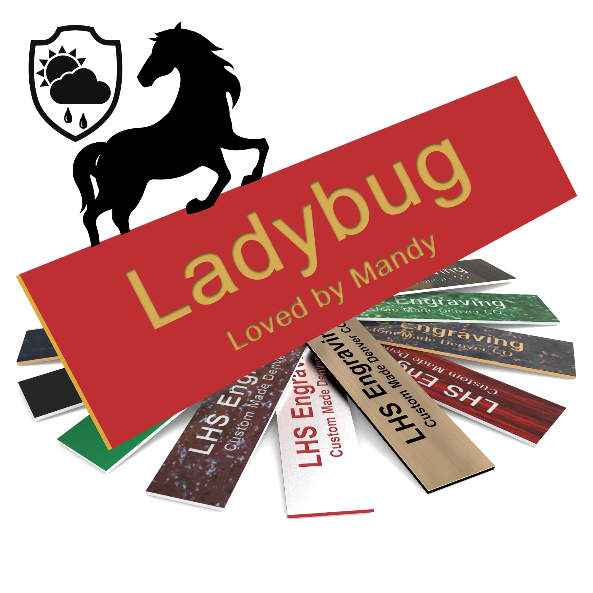 Lhs | Personalized Horse Stall Name Plates, 2X8 Horse Stall Signs With Adhesive, All Weather Uv Protected, Red Plastic Gold Lett