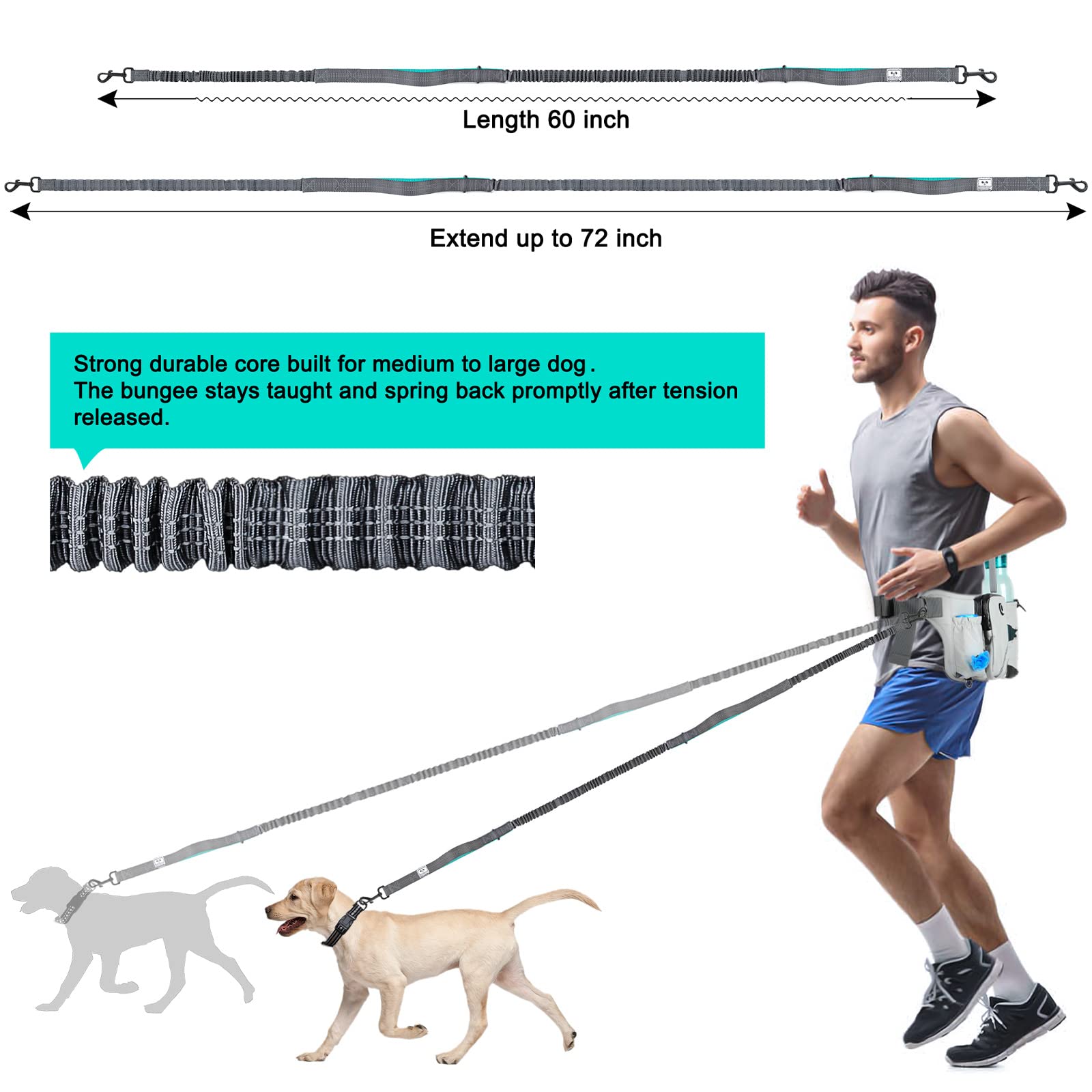 Shine Hai Retractable Hands Free Dog Leash With Dual Bungees For 2 Dogs, Adjustable Waist Belt, Reflective Stitching Leash For Running Walking Hiking Jogging Biking Black - Gray