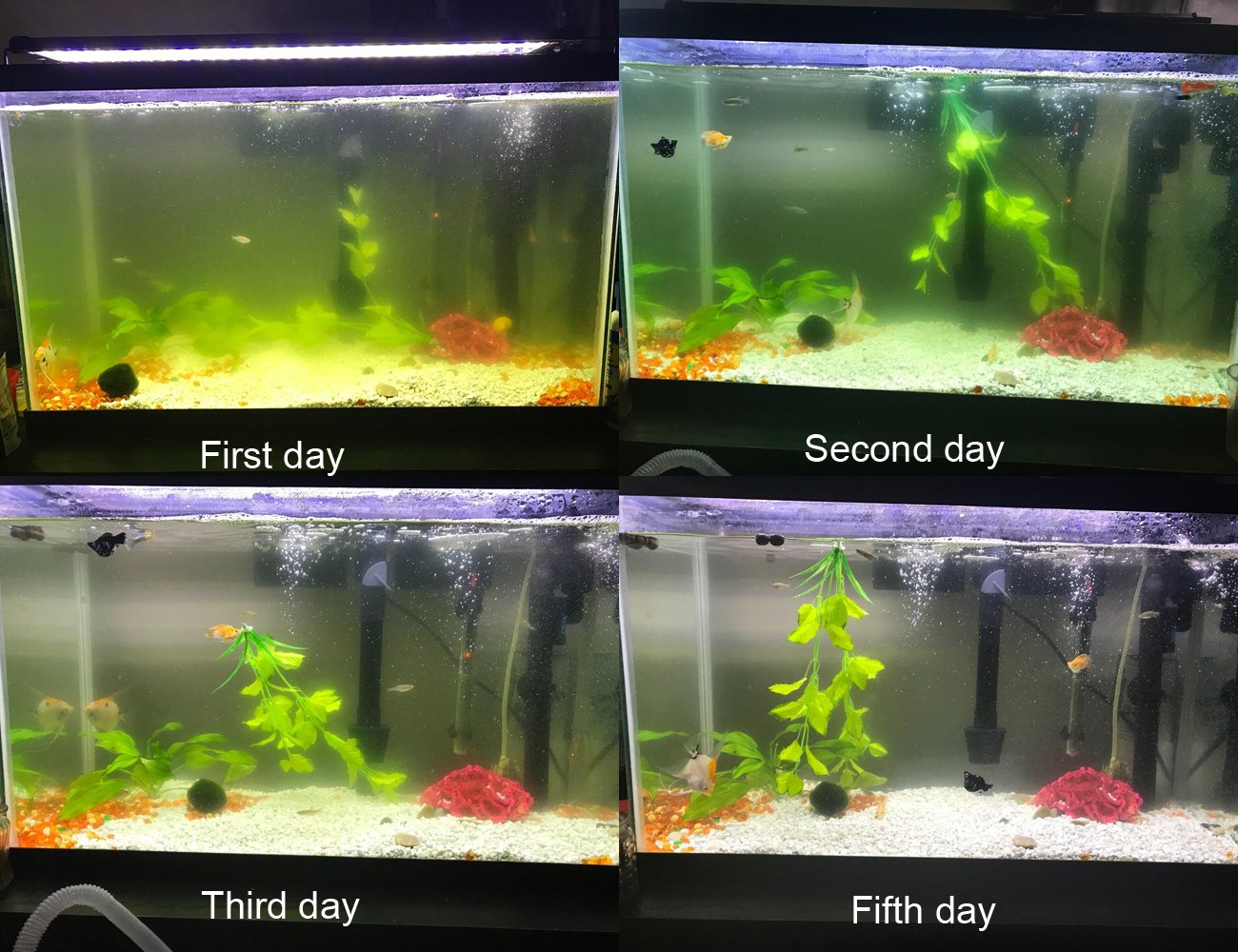 Coodia Internal Green Water Killer Aquarium Filter Tank U-V Pump