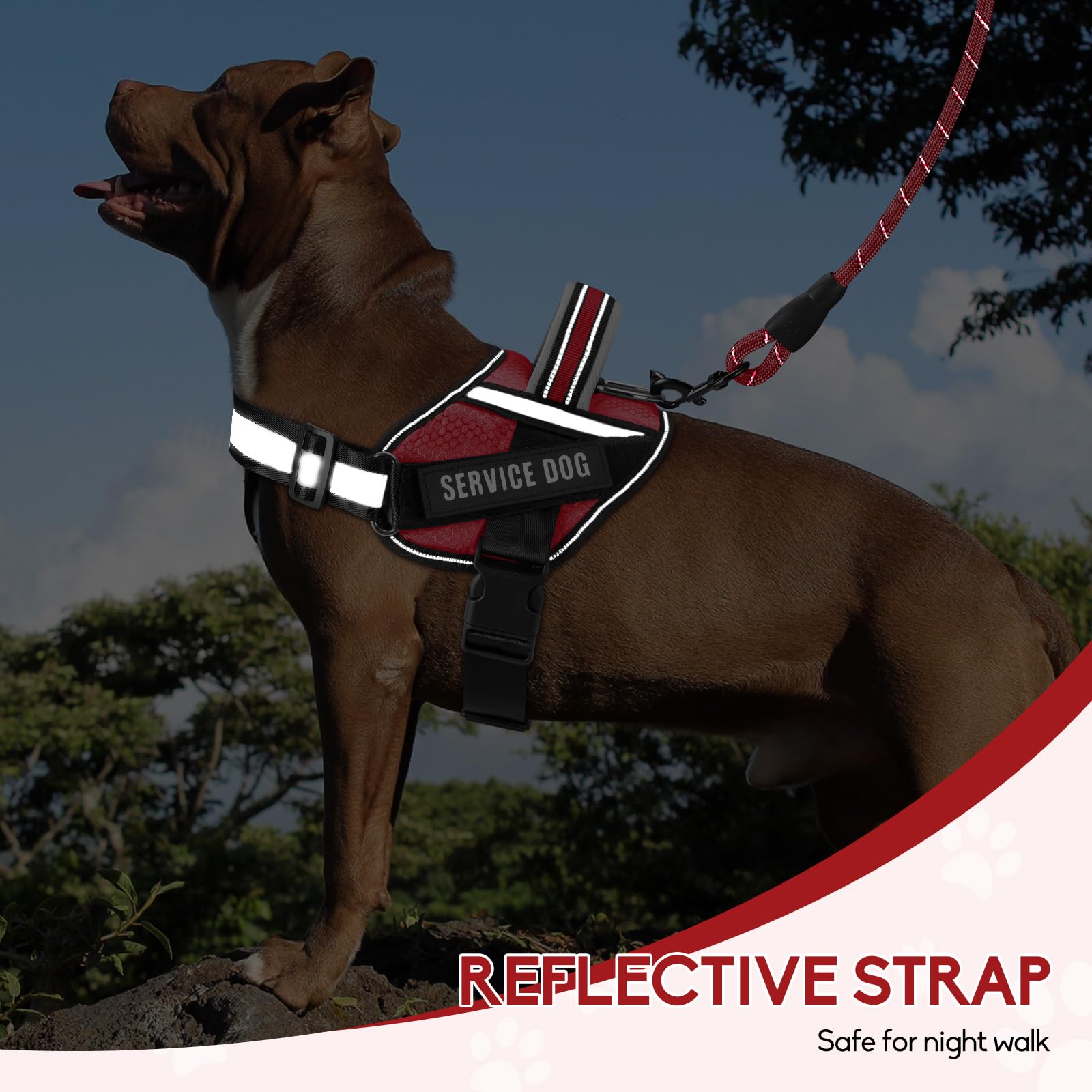 Service Dog Vest Harness And Leash Set, Animire In Training Dog Harness With 10 Dog Patches, Reflective Dog Leash With Soft Padd