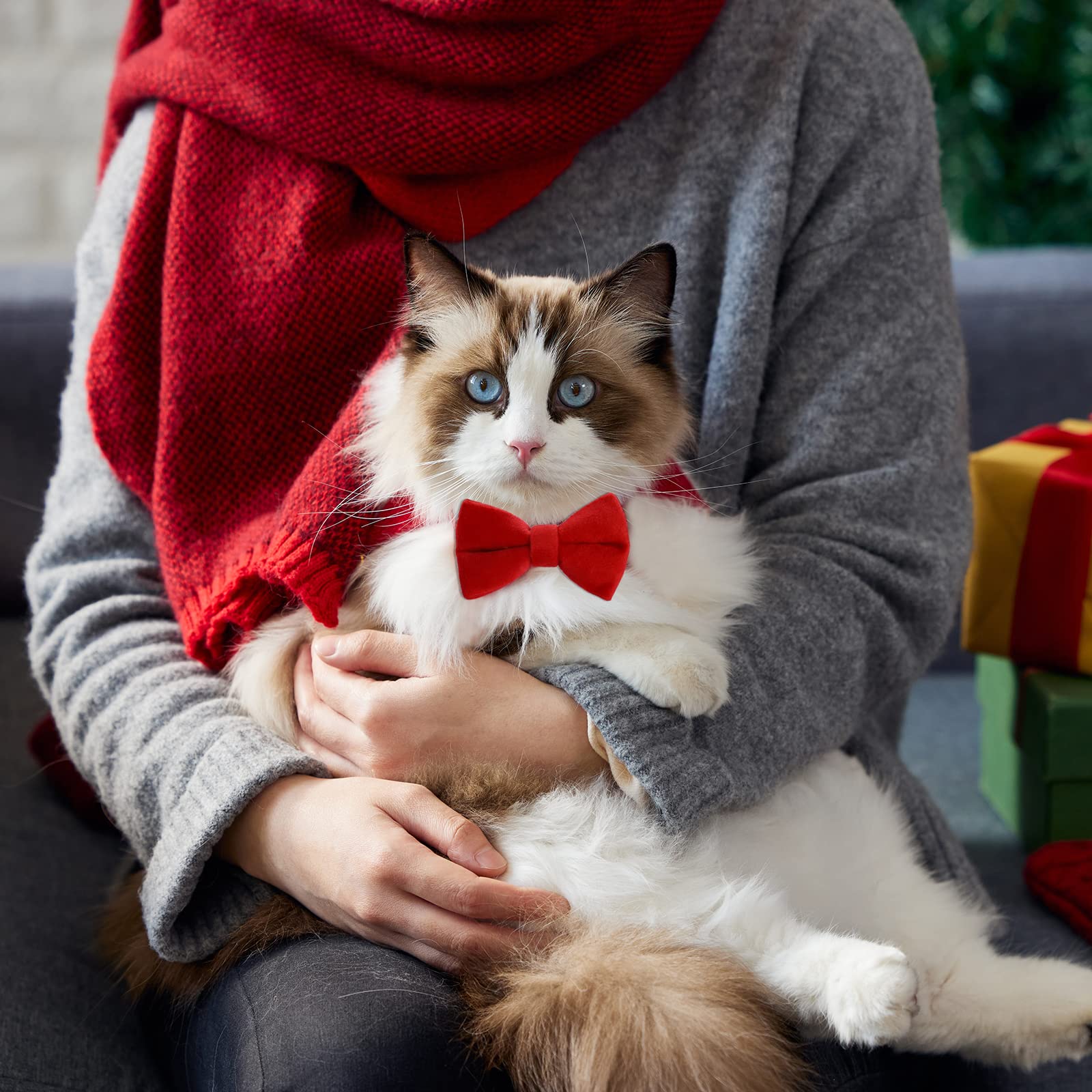 2 Pcs Velvet Cat Collar With Bell And Bowtie, Adjustable Breakaway Cat Collars Kitten Small Puppy Safety Bow Tie Solid Wedding Basic Color Cat Bow Tie Collar