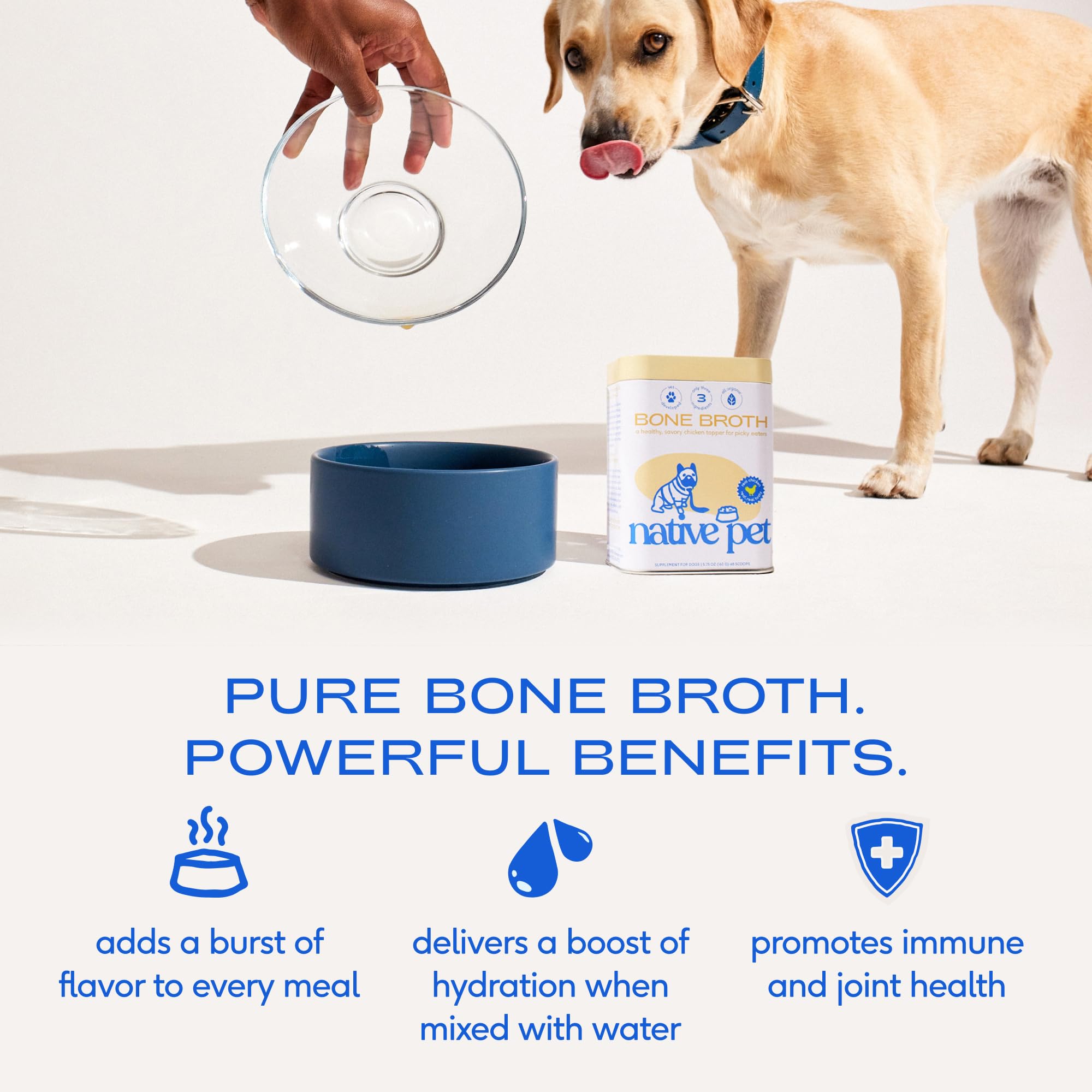 Native Pet Bone Broth for Dogs and Cats - Chicken Bone Broth Powder Dog Food Toppers for Picky Eaters - Provides Extra Nutrition