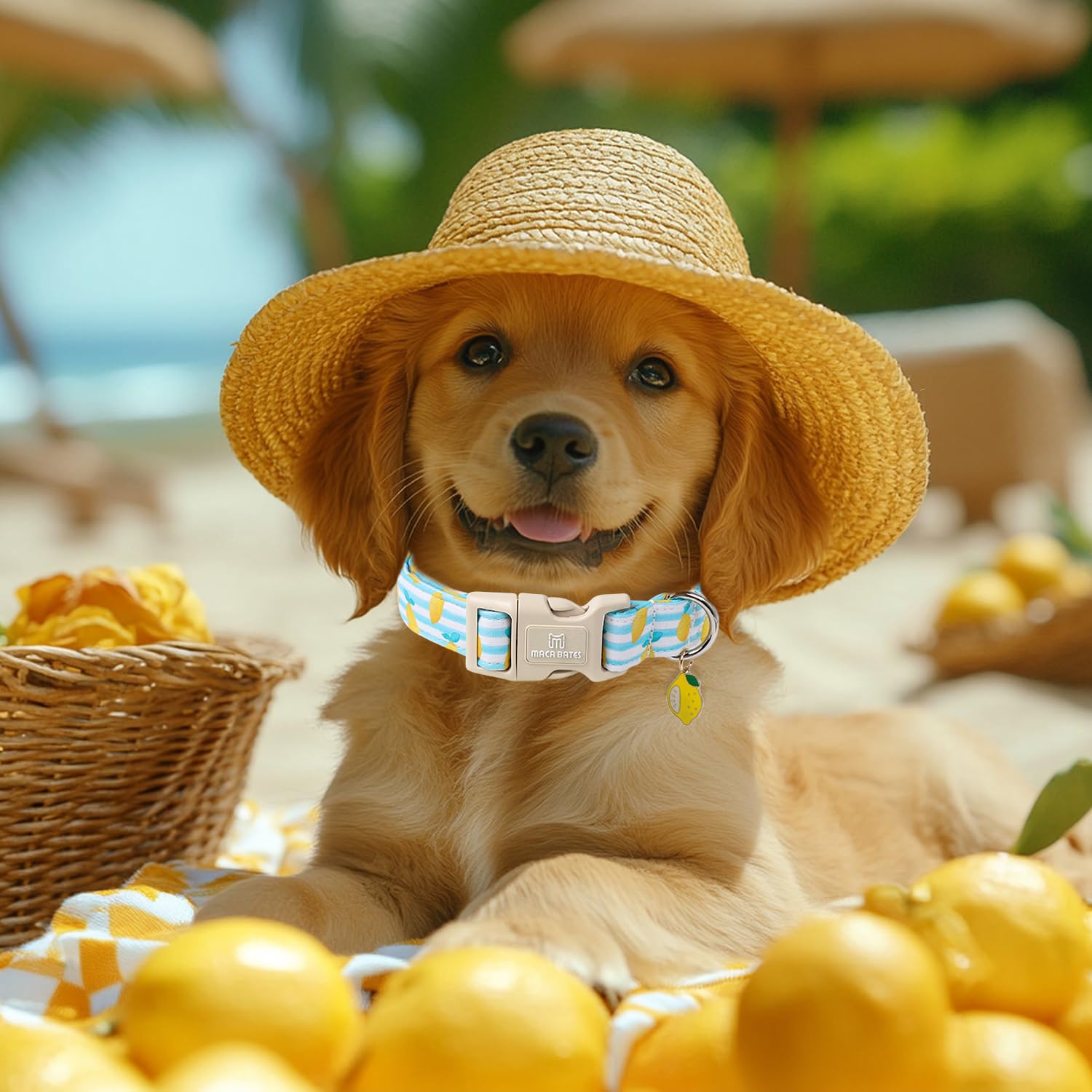 M MACA BATES Dog Collar, Adjustable Cotton, Lemon Charm, Small, Yellow, Durable Safety Buckle, for XS-Small-Medium-Large-XL Puppies