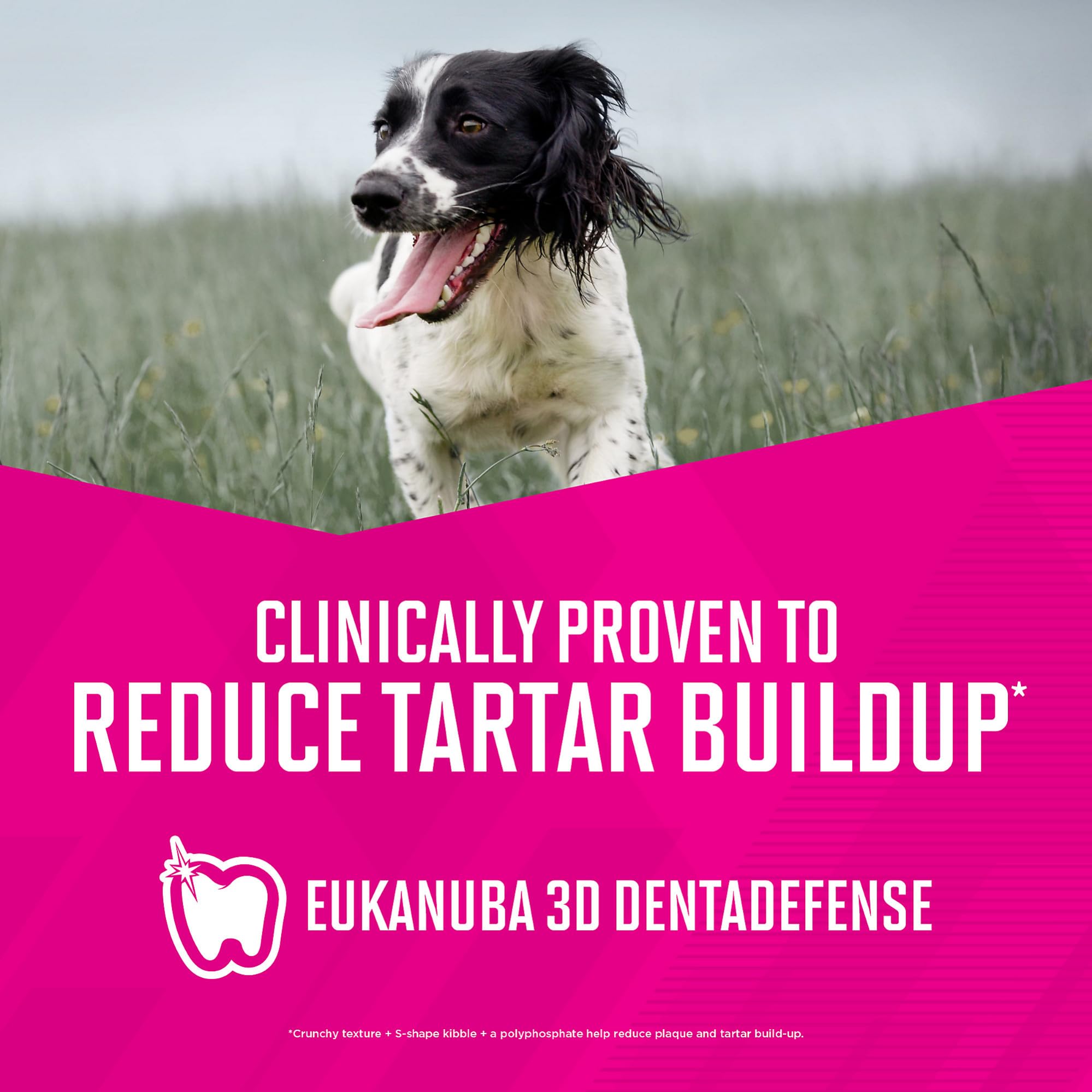 Eukanuba Senior Lamb 1st Ingredient Dry Dog Food, 30 lb