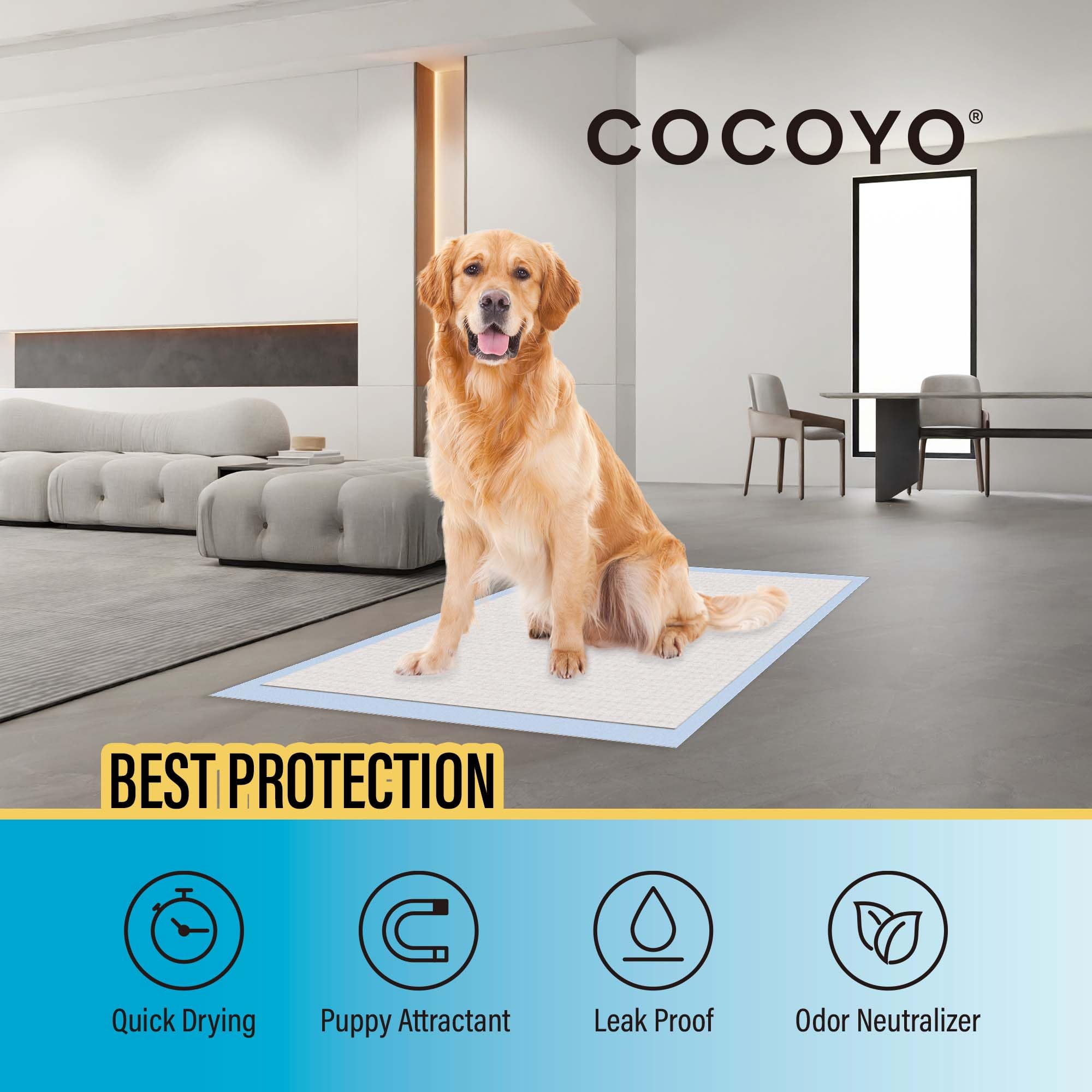Cocoyo Best Value Training Pads, 22' By 22', 100Count