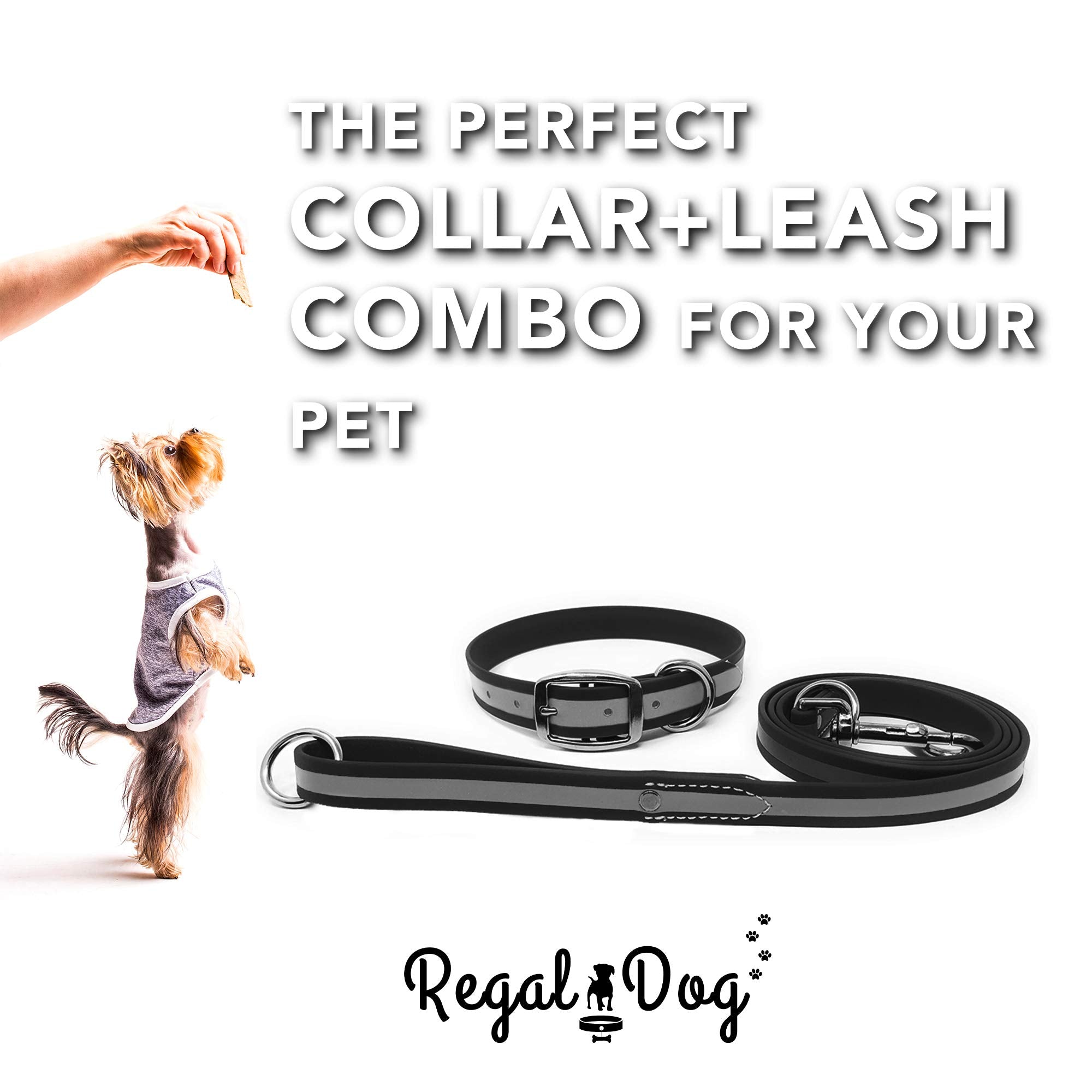 Regal Dog Products Medium Black Reflective Dog Collar And Leash Set - Waterproof Biothane Dog Collar With Heavy Duty Double Buck