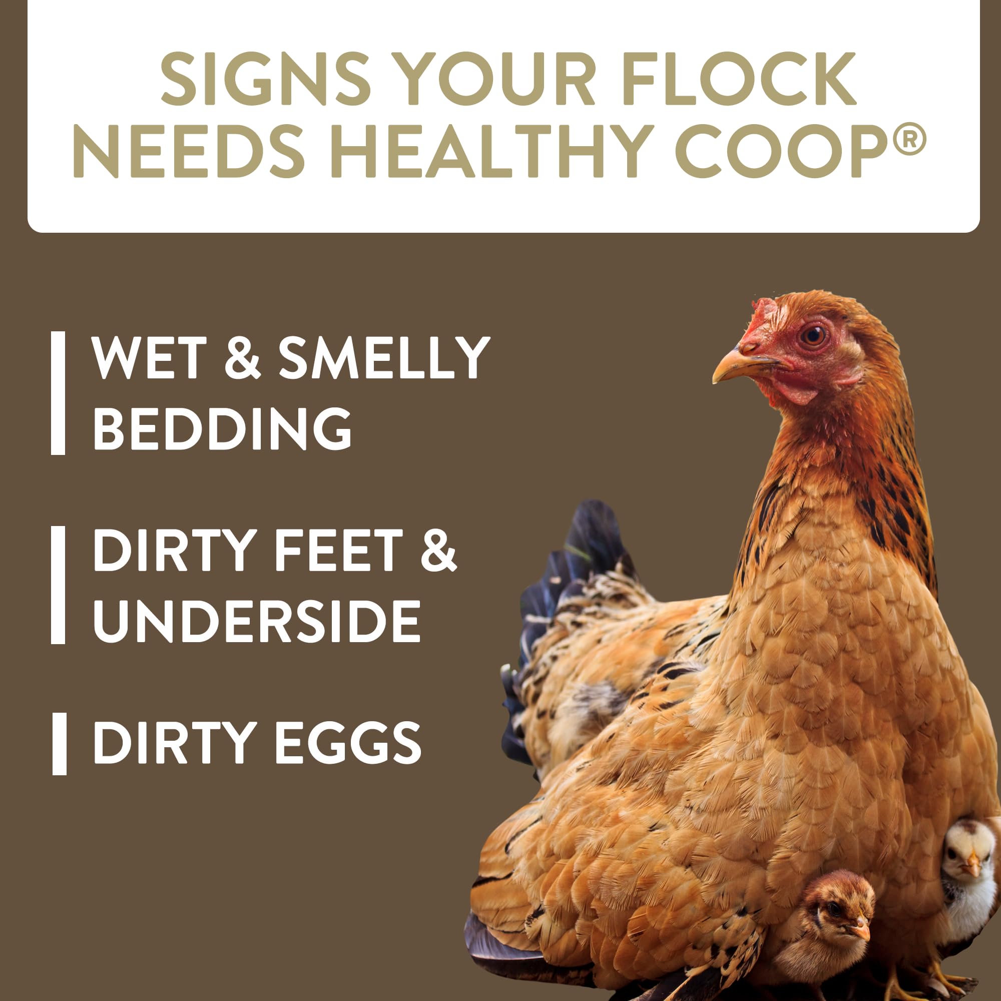 FlockLeader Healthy Coop, Litter Additive for Chicken Coop with Probiotic & Acidifier, Reduces Odor, Wetness & Bacteria, 12lbs