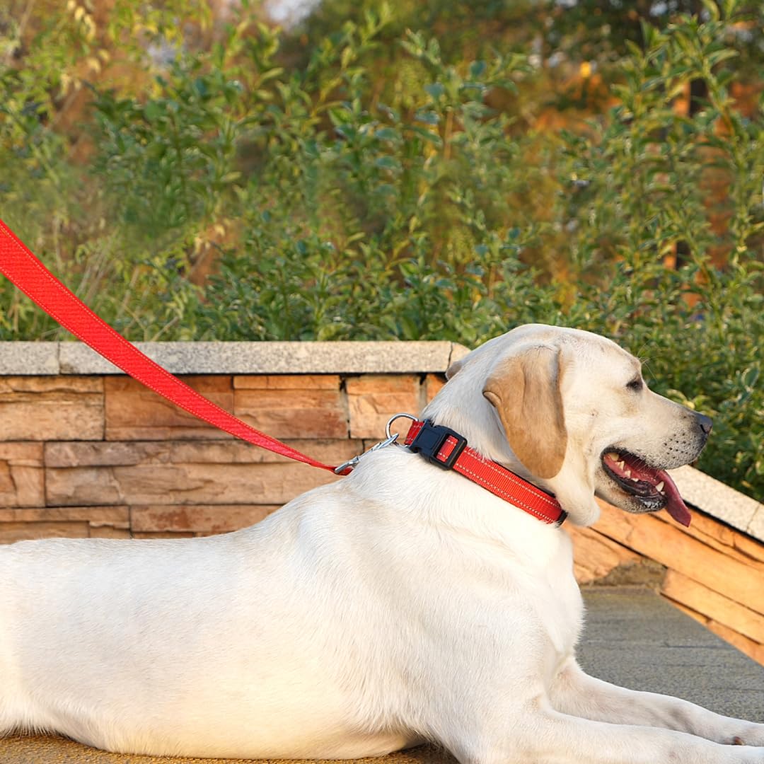 Penseepet Dog Leash 6 Ft Padded Handle Nylon Reflective Dogs Leashes For Medium Dogs Red